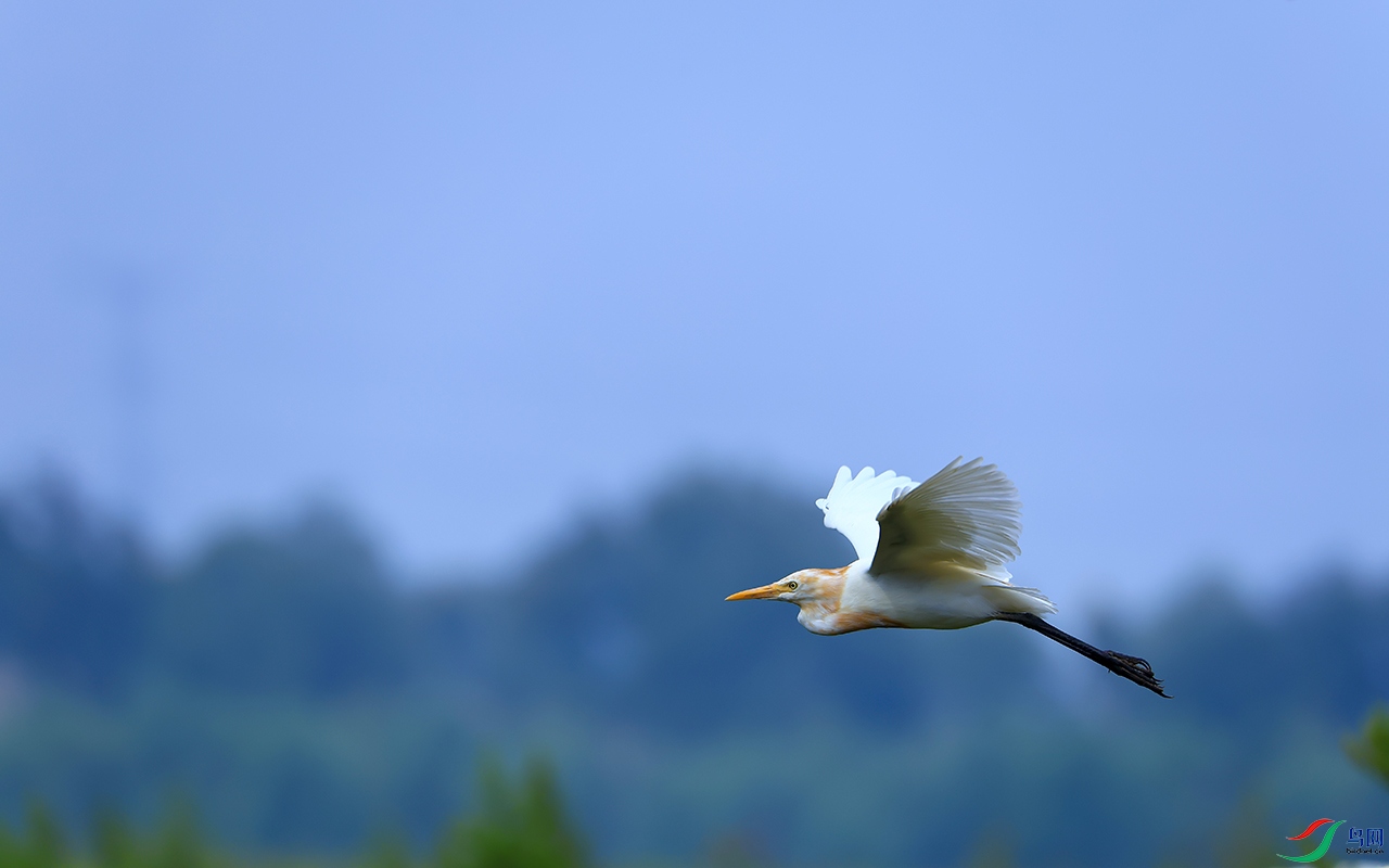 724A0775 ���� 2.jpg