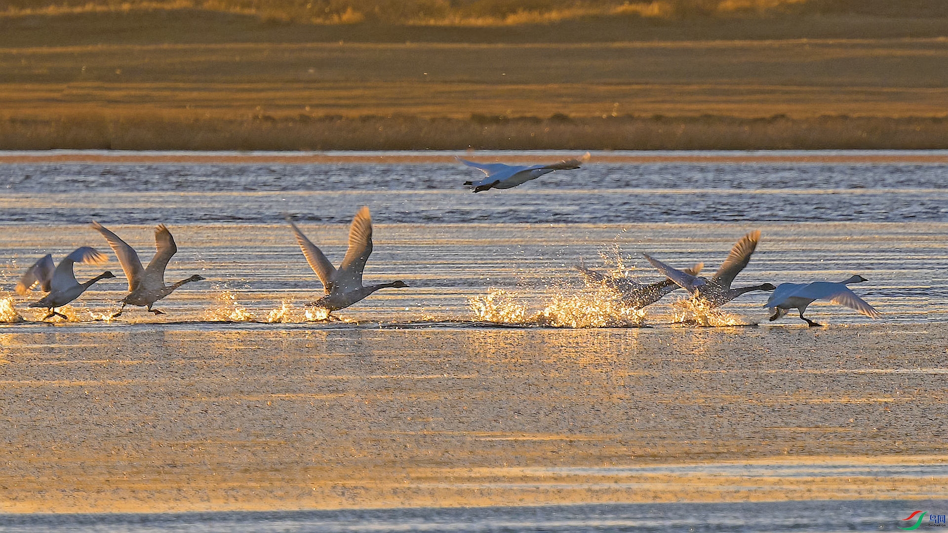 James Last - A Morning In Cornwall.00_00_35_18.Still001_����.jpg