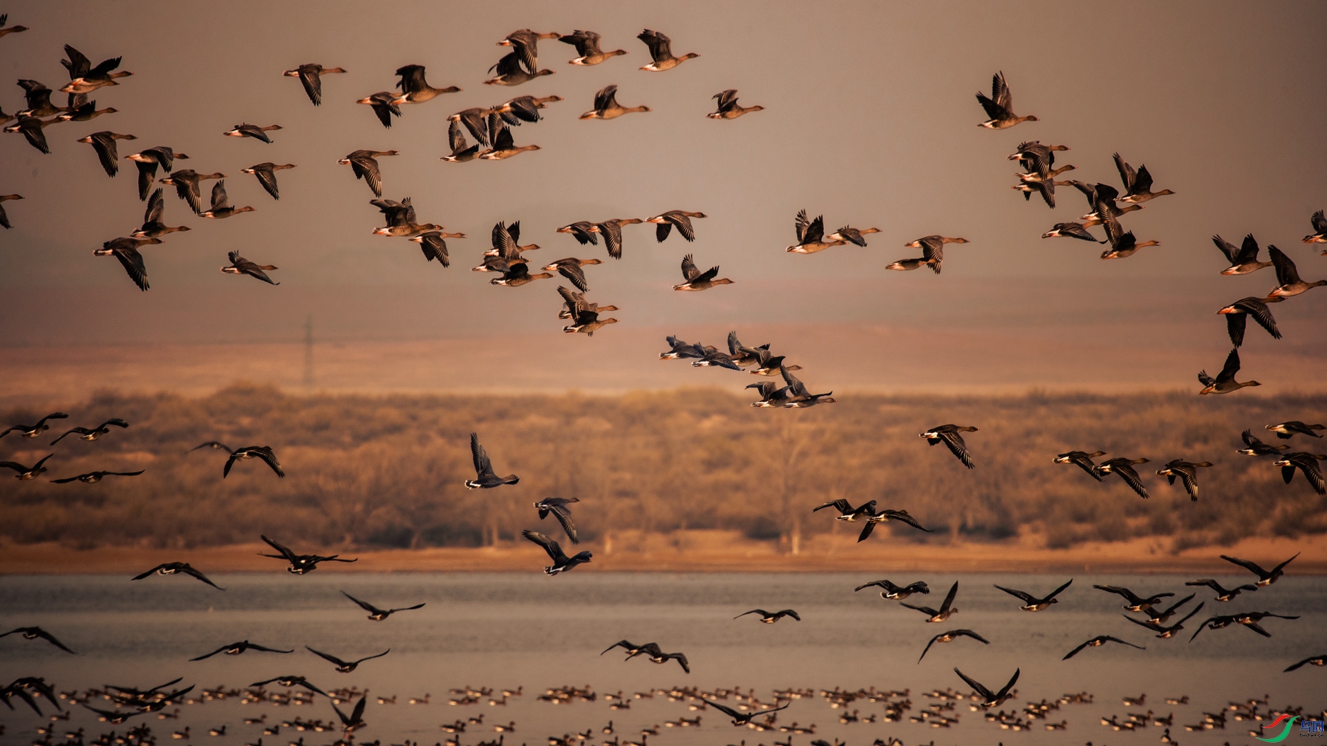 ��Զ�ɵĴ��㣬������ɡ�������