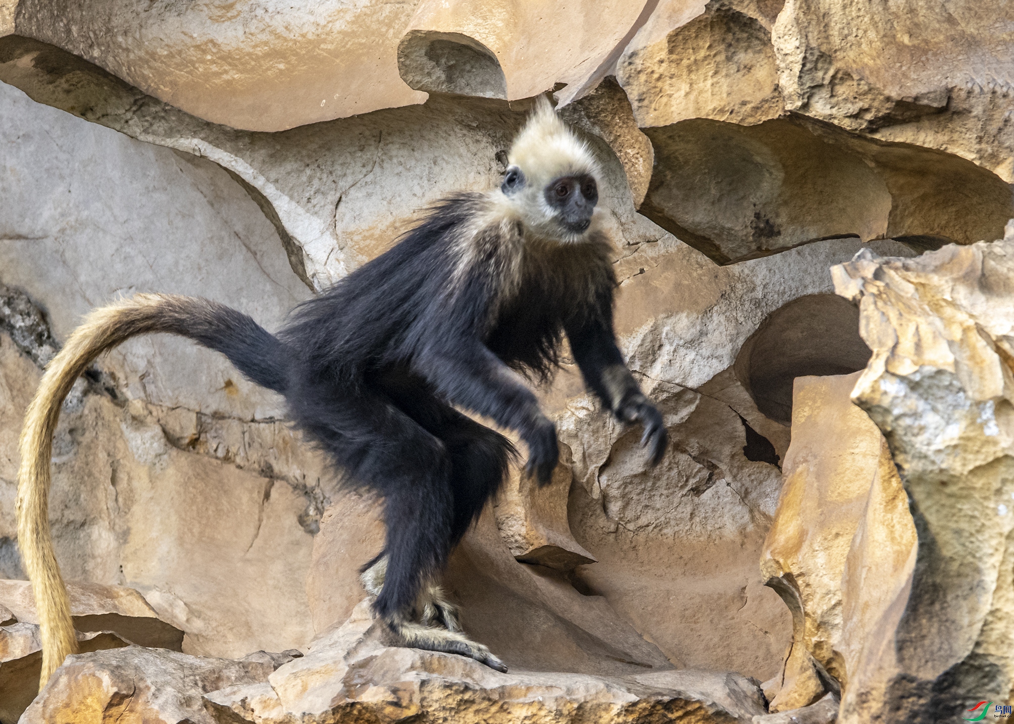 3111 ����.jpg