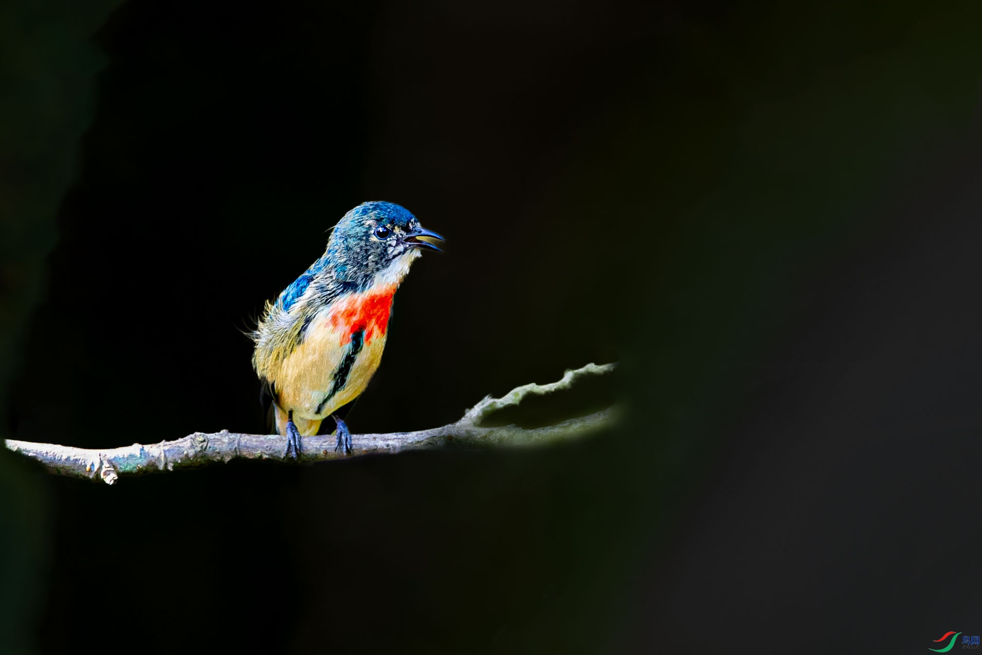 DSC_1580_2.jpg