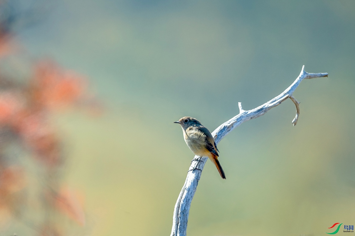 _DSC44060.jpg