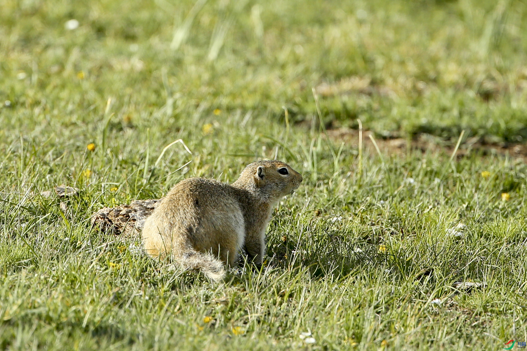 AB1I8681.JPG