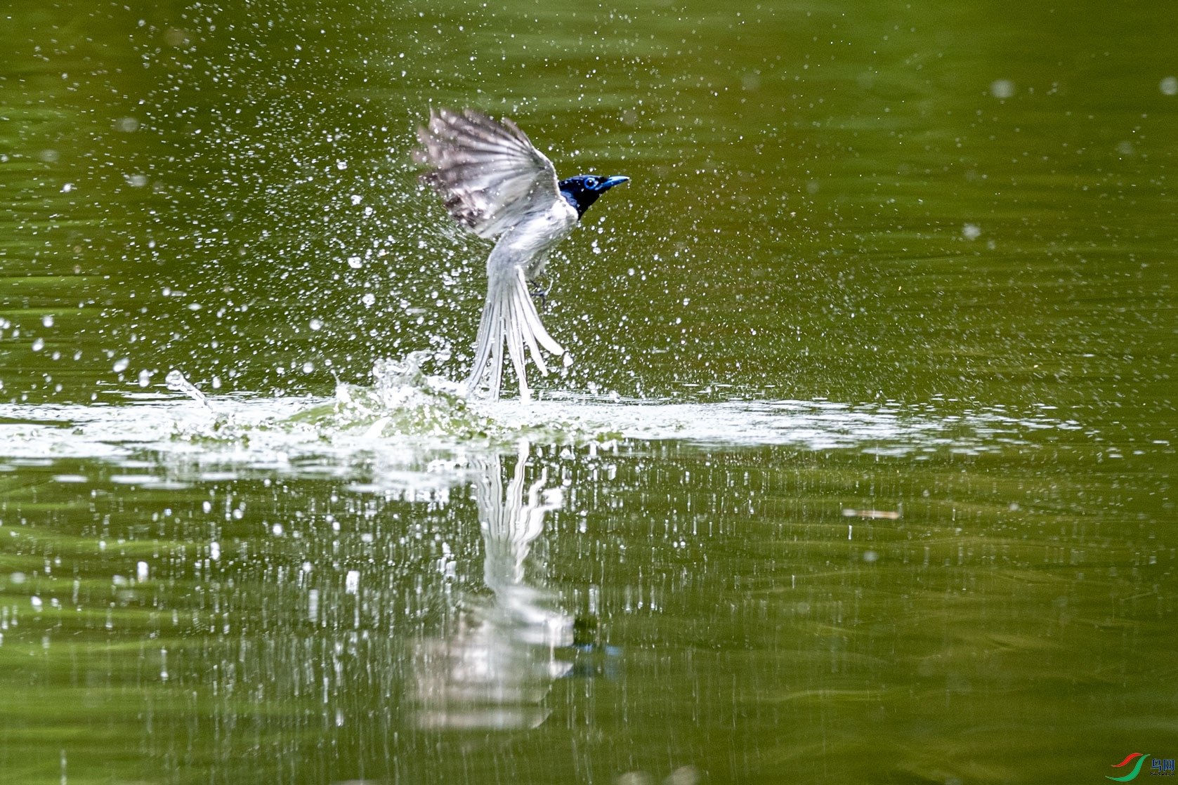 DSC_4075.jpg