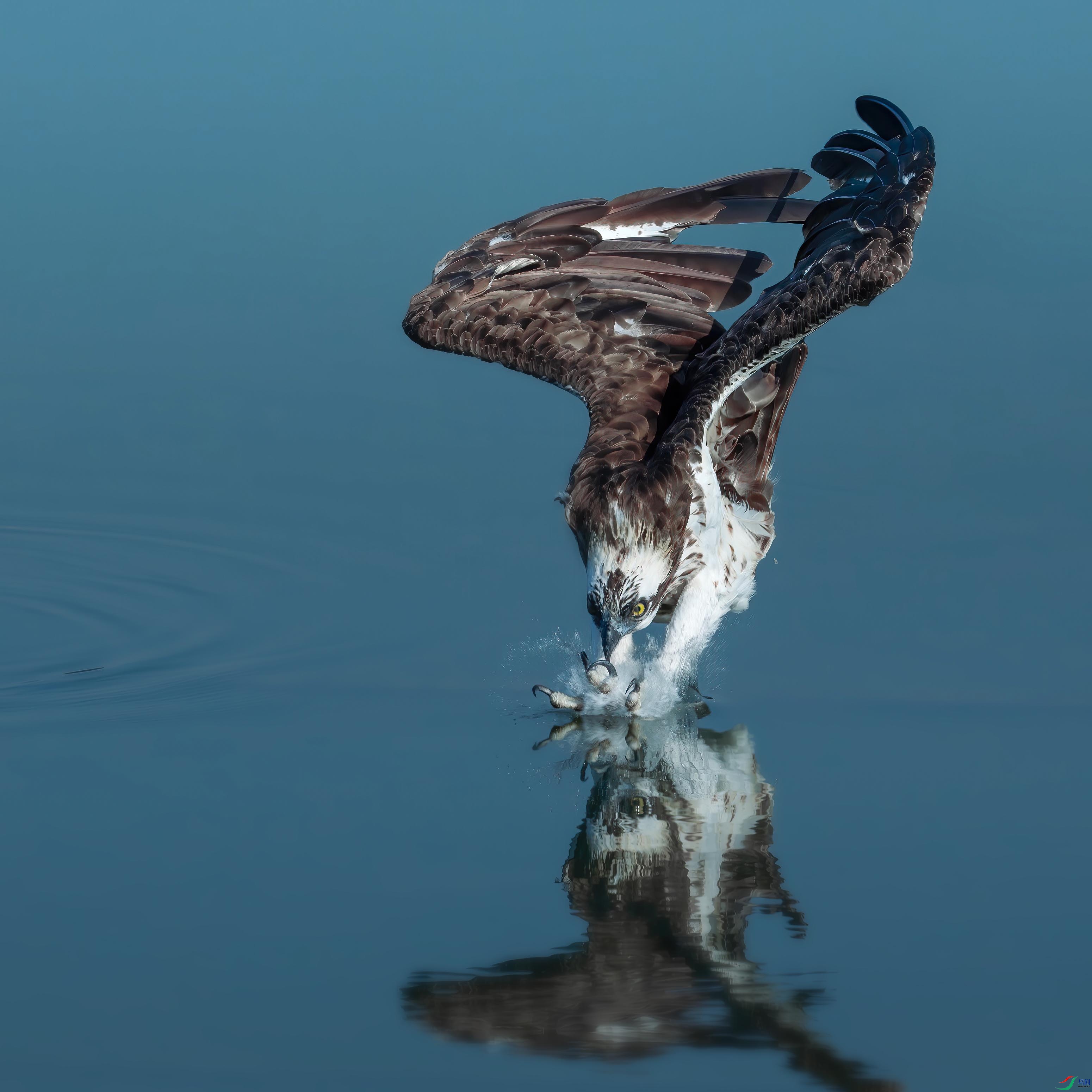 DSC00651����-����ǿ-NR-1 ����.jpg