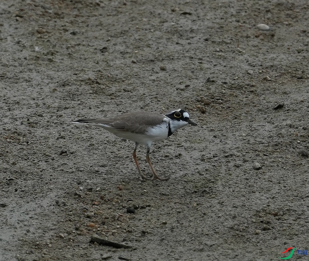 DSC08674.JPG