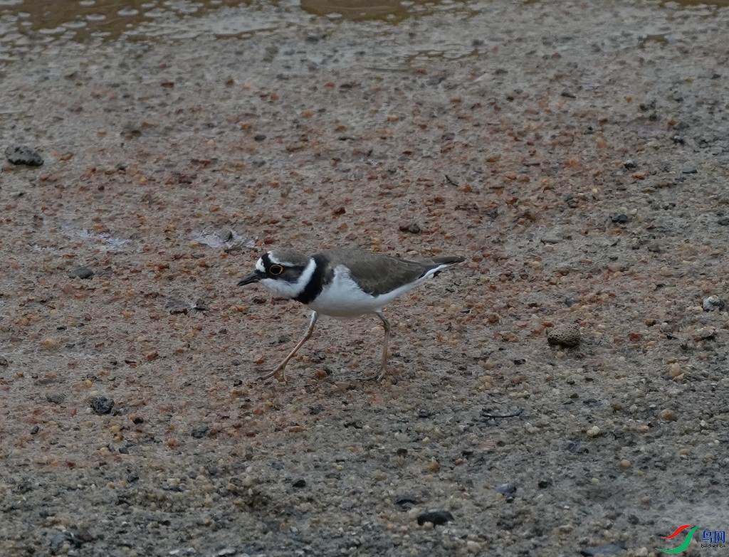 DSC08488.JPG