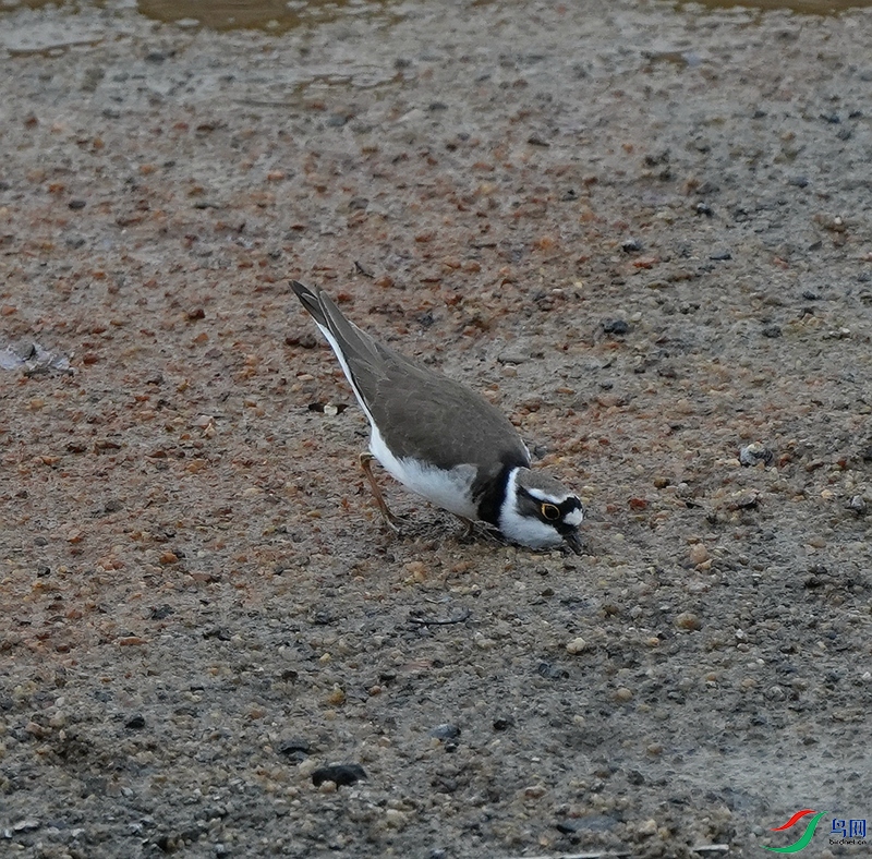 DSC08485.JPG