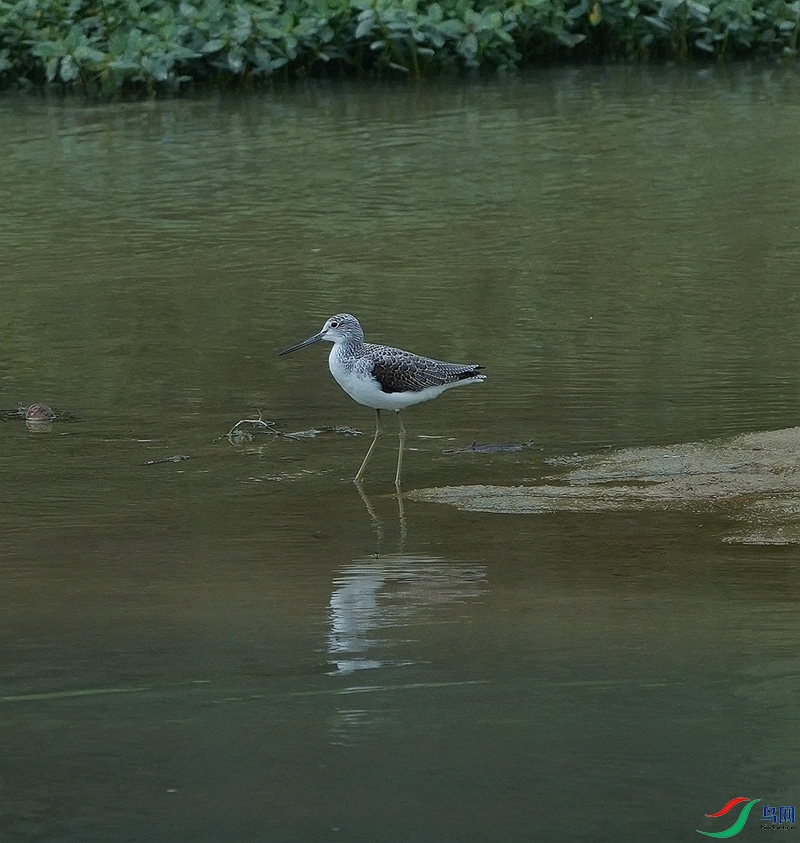 DSC08326.JPG