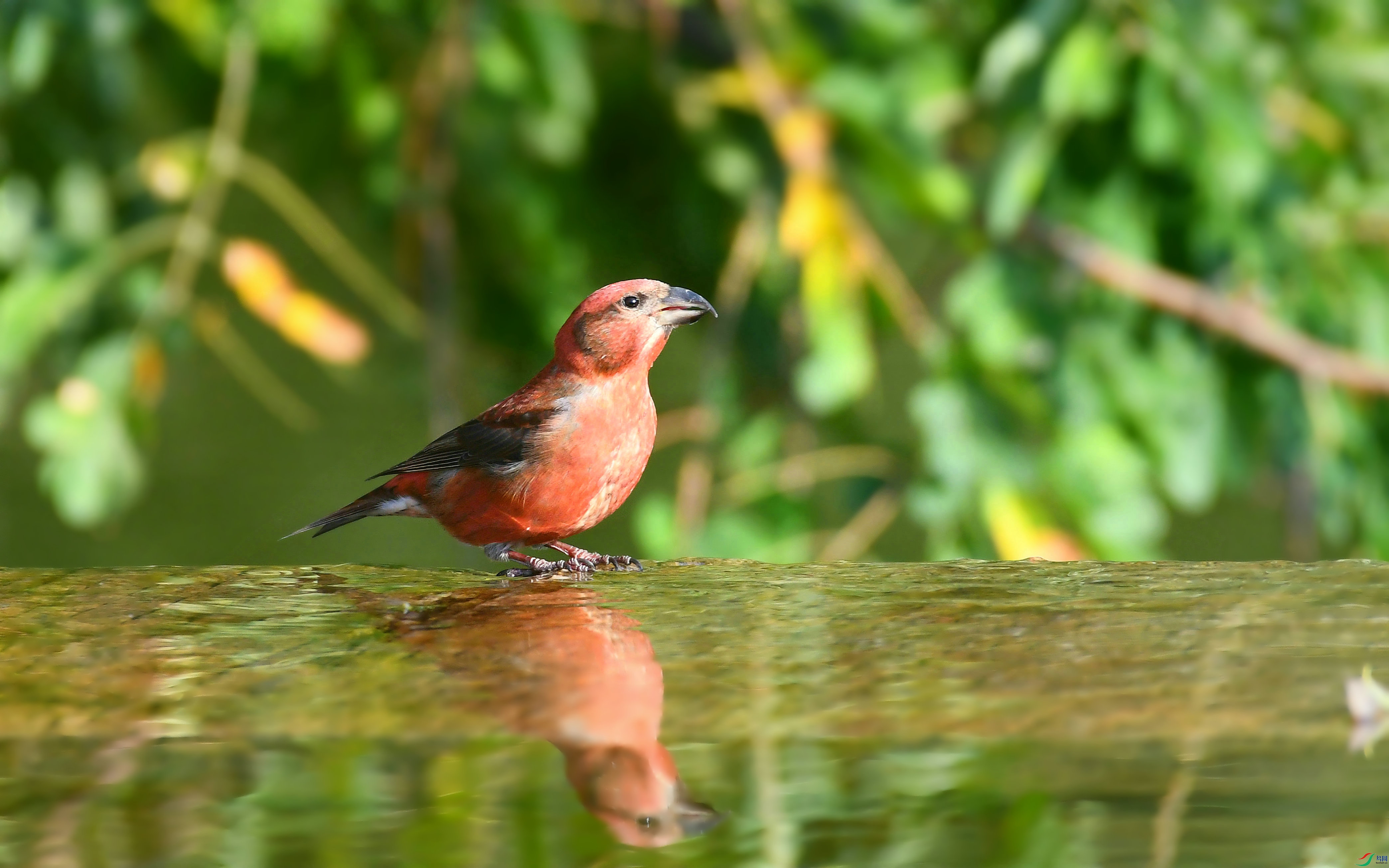 DSC_7870.JPG