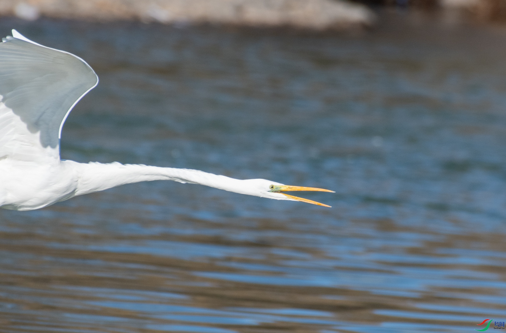 DSC_3169.jpg