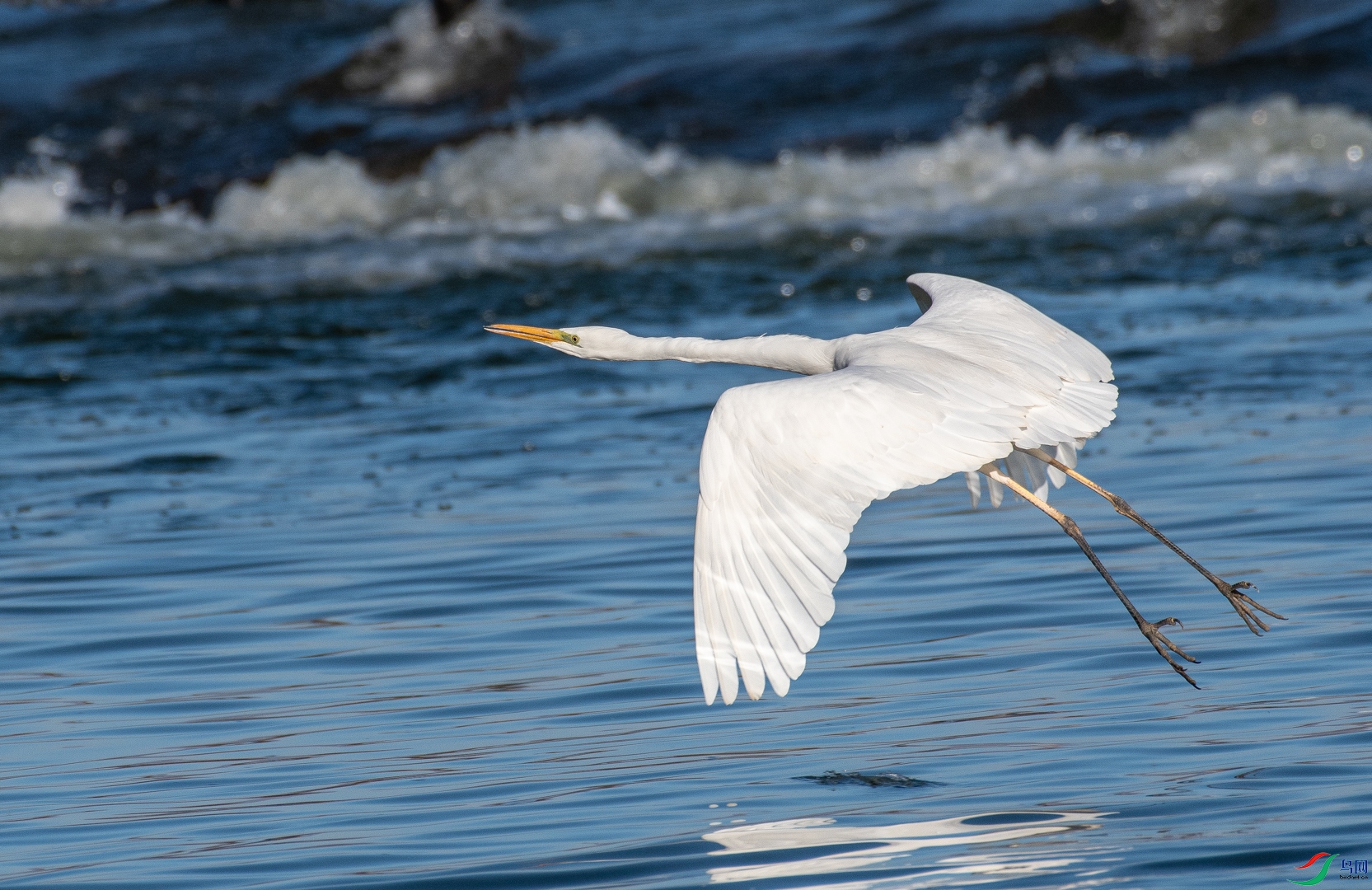DSC_2983.jpg