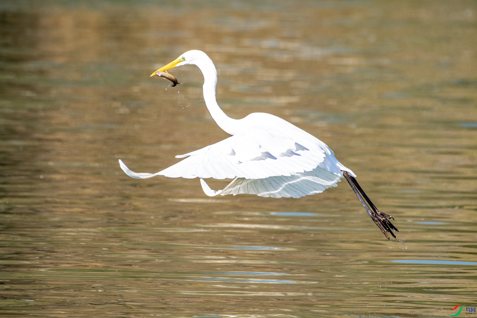 DSC_2527.jpg