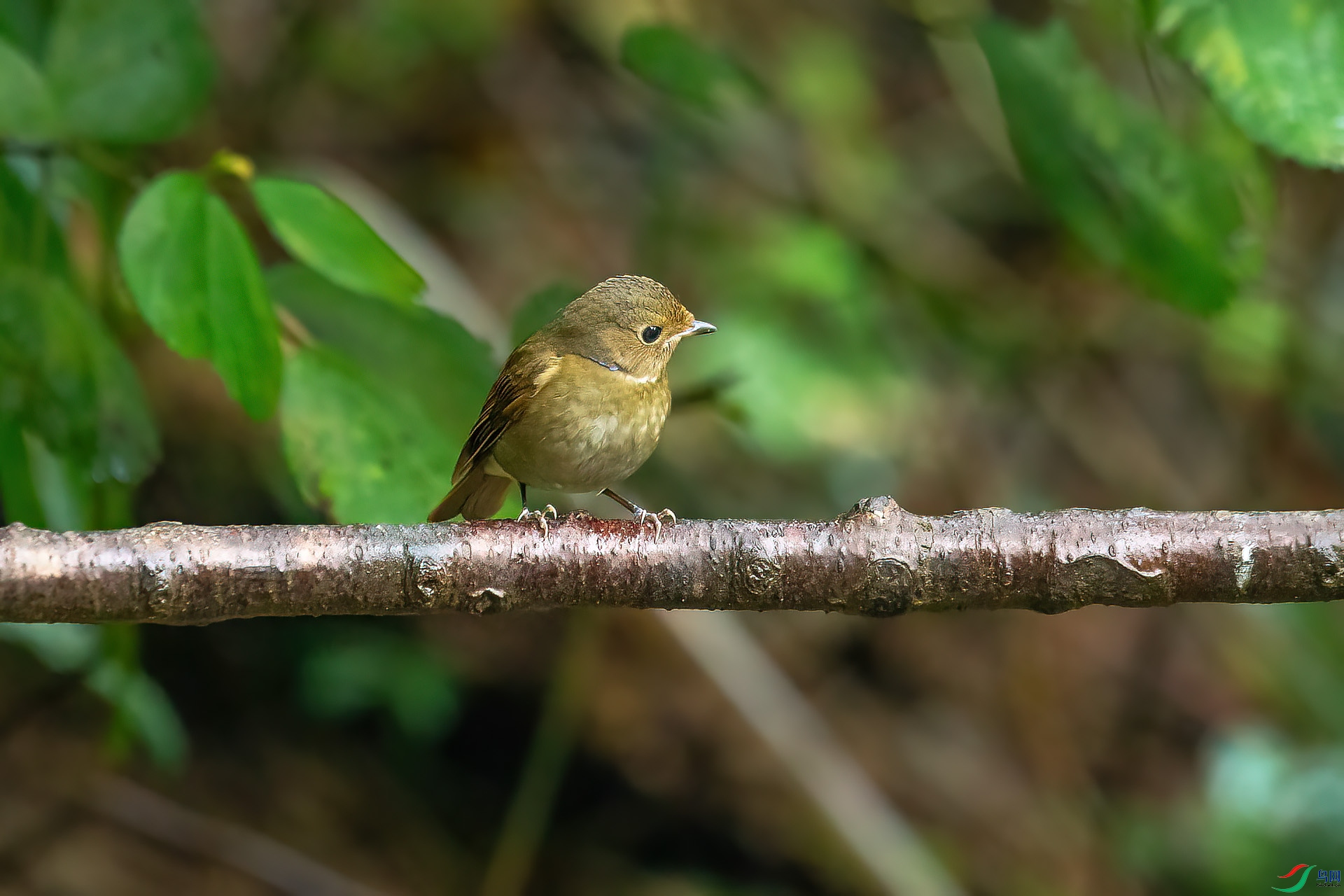 DSC_1065.jpg