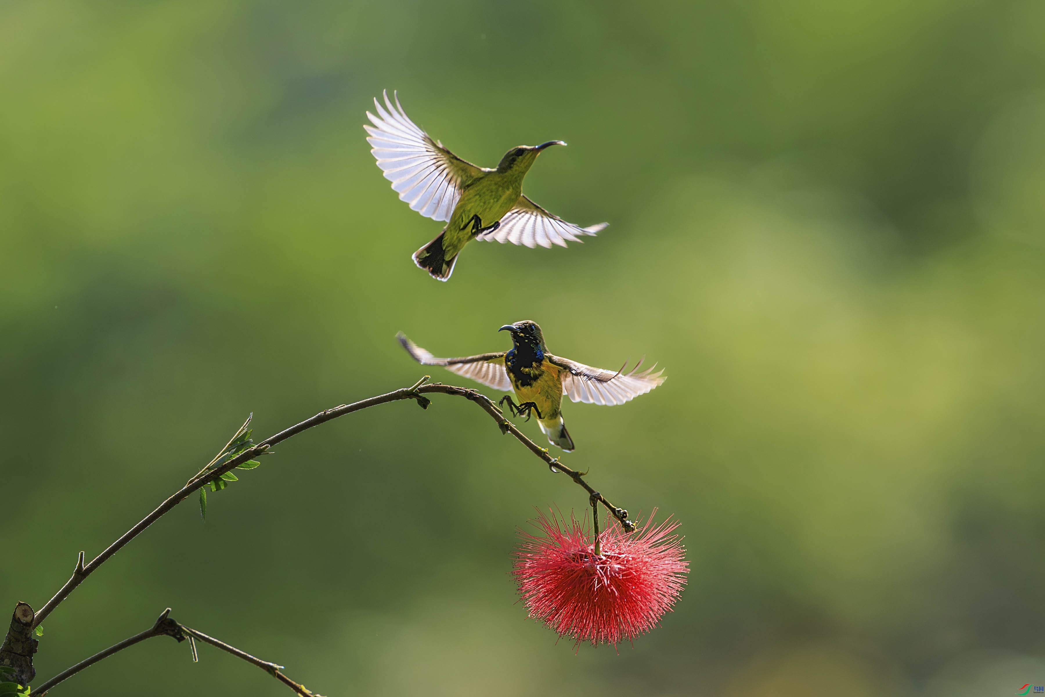 1A6A7518-����ǿ-NRС.jpg