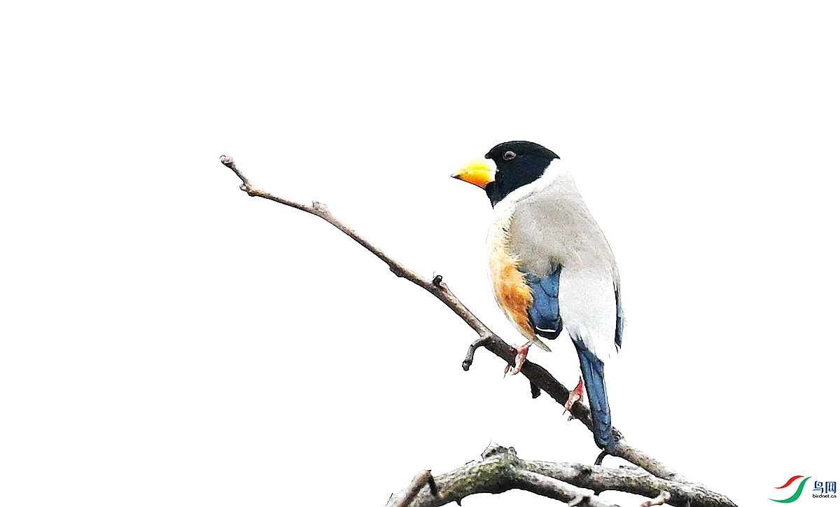 DSC_5601.JPG