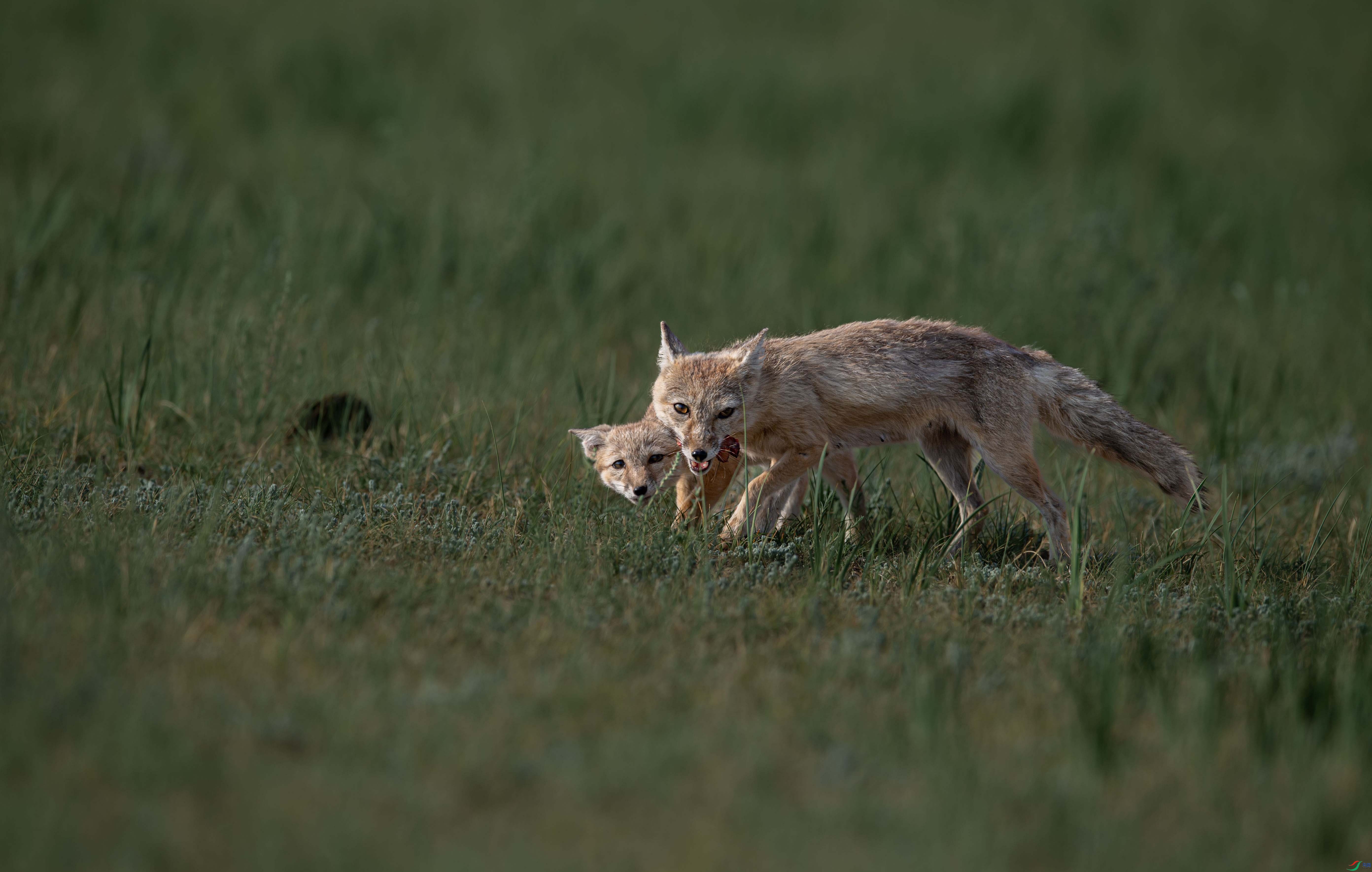 DSC_5405��.jpg