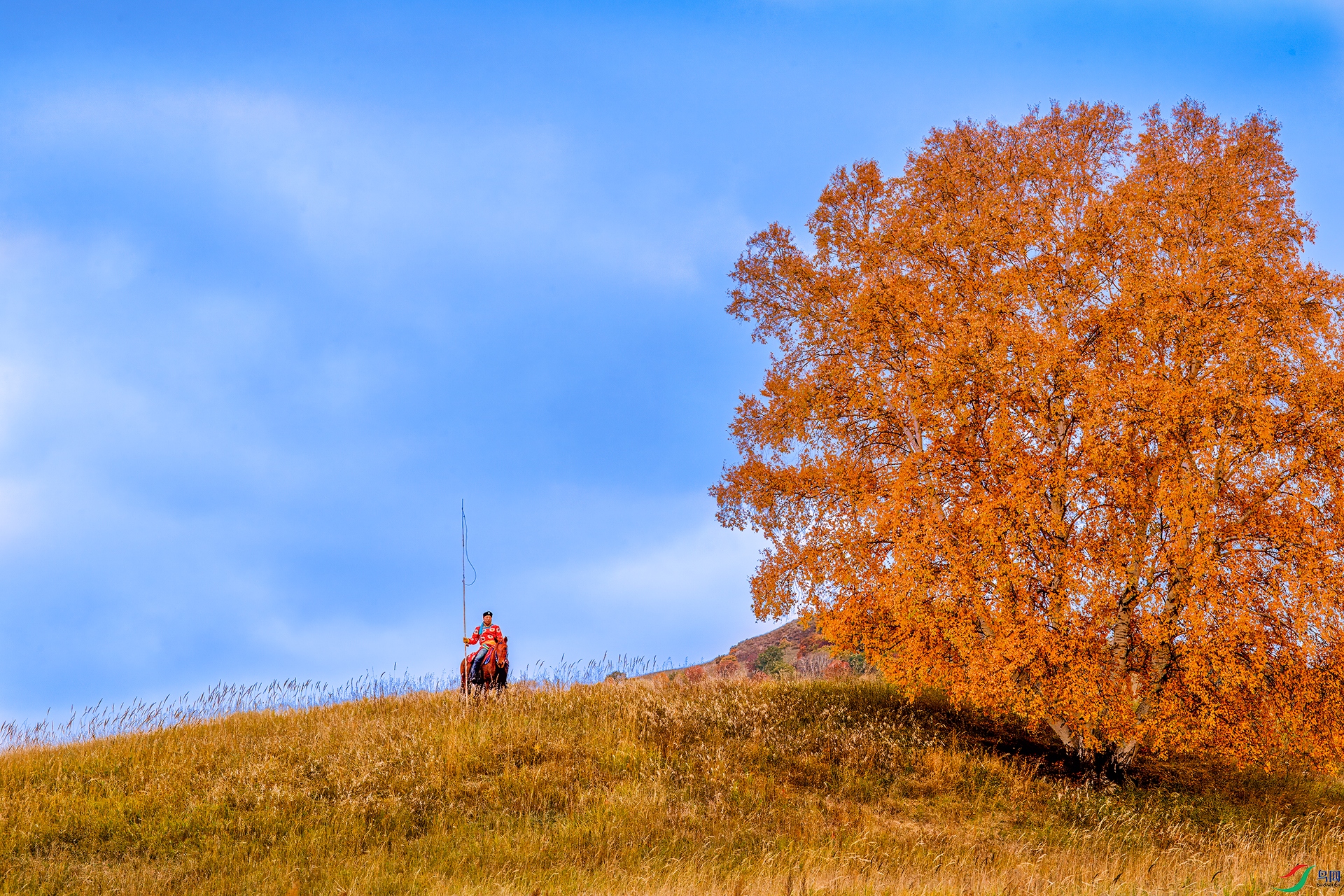 0_D5D9333-topaz-denoiseraw.jpg