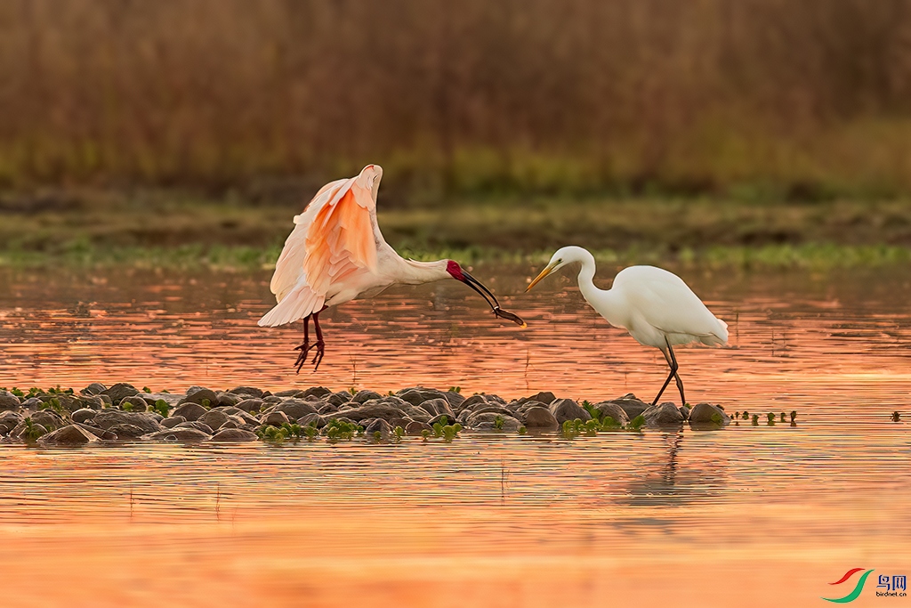 hnxydzR231102 (514)_DxO.jpg