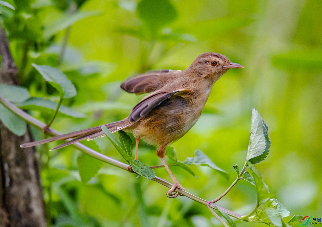 DSC_0562.jpg