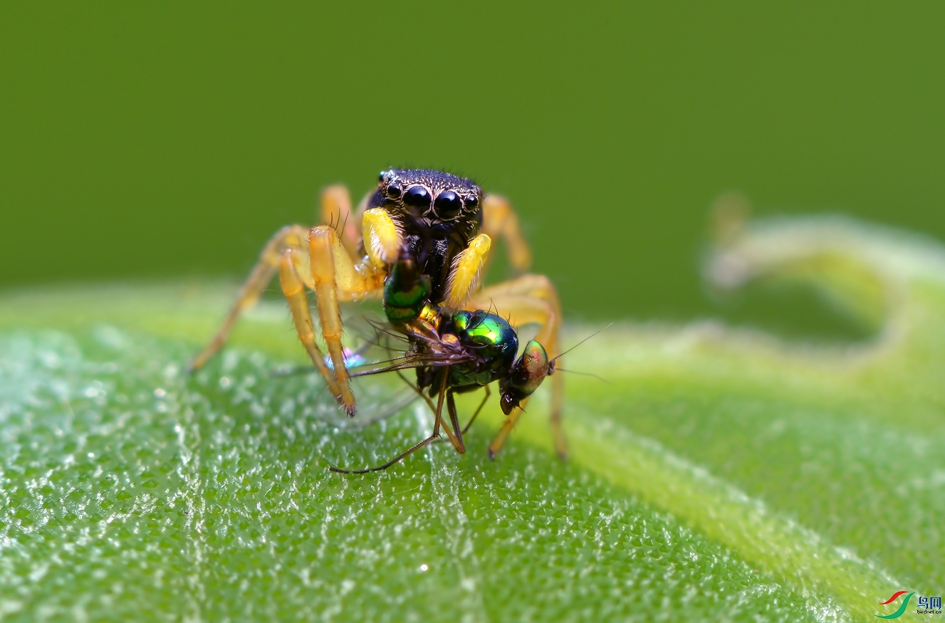 DSC_6110 ����..JPG