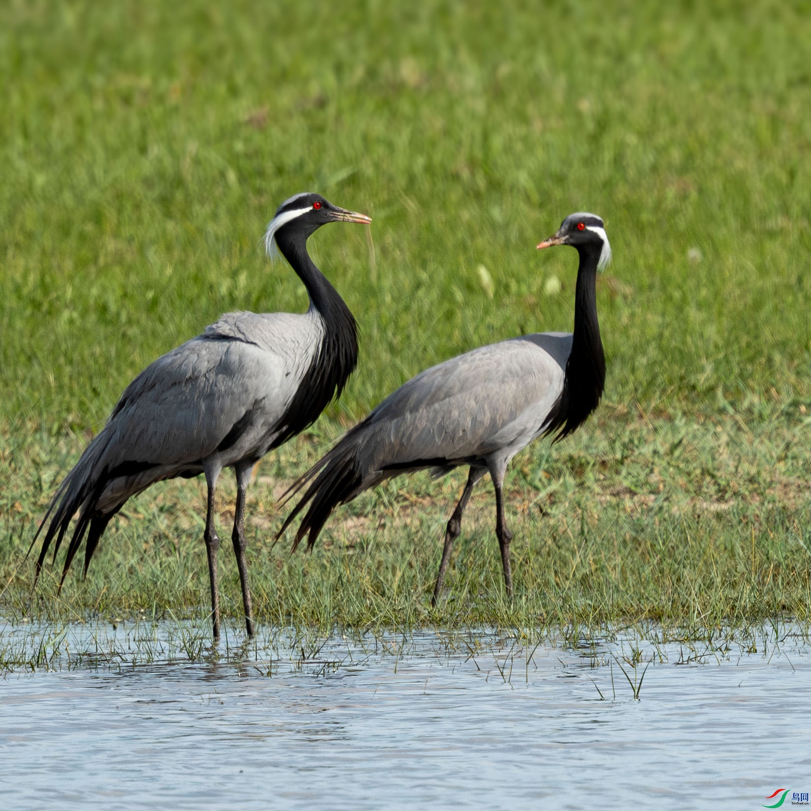 DSC_0746-����ǿ-NR ����.jpg