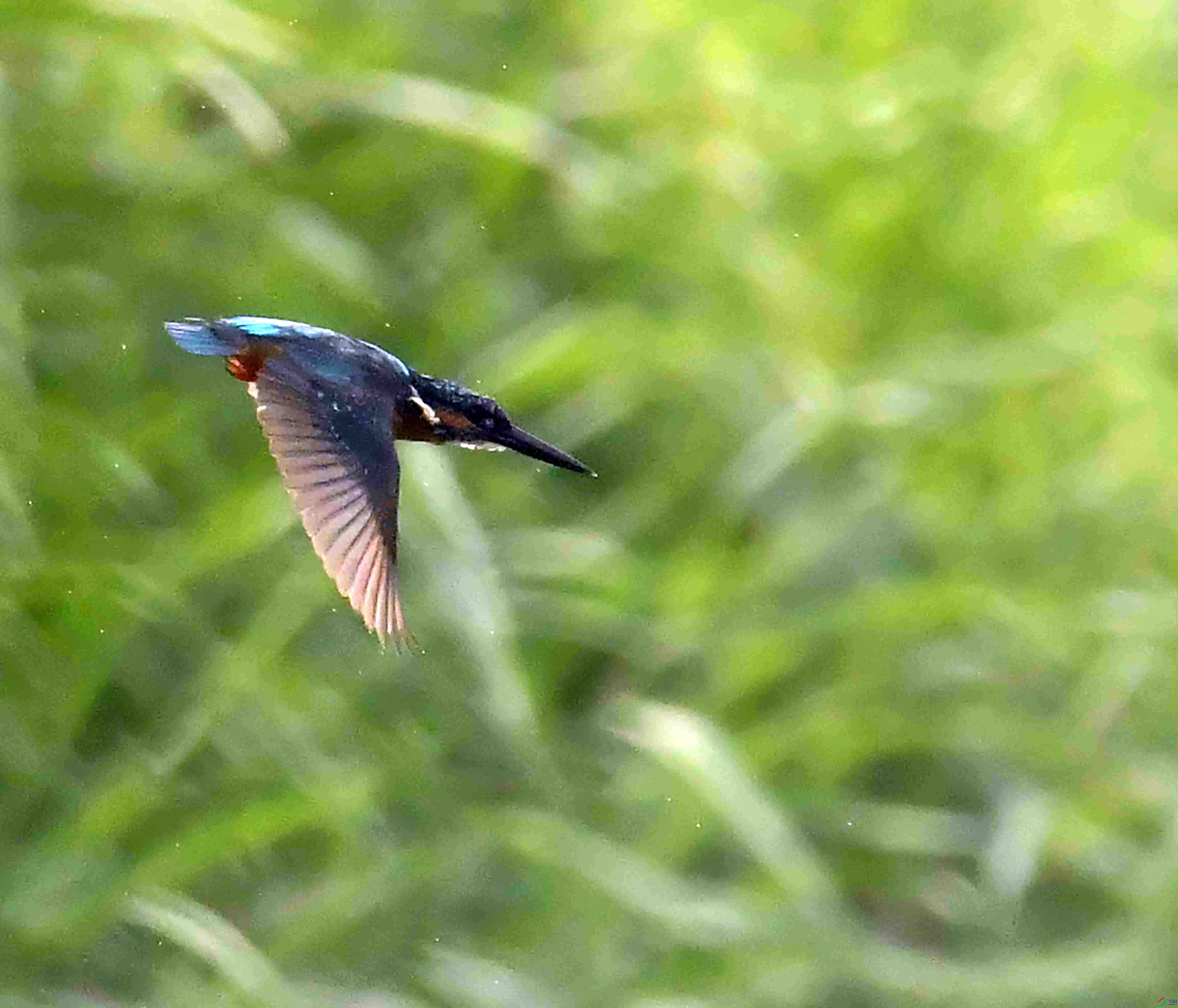 DSC_9974.JPG