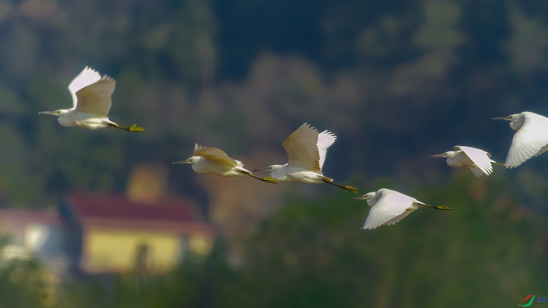 _MG_6911.jpg
