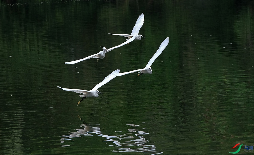 DSCF6942.1.JPG