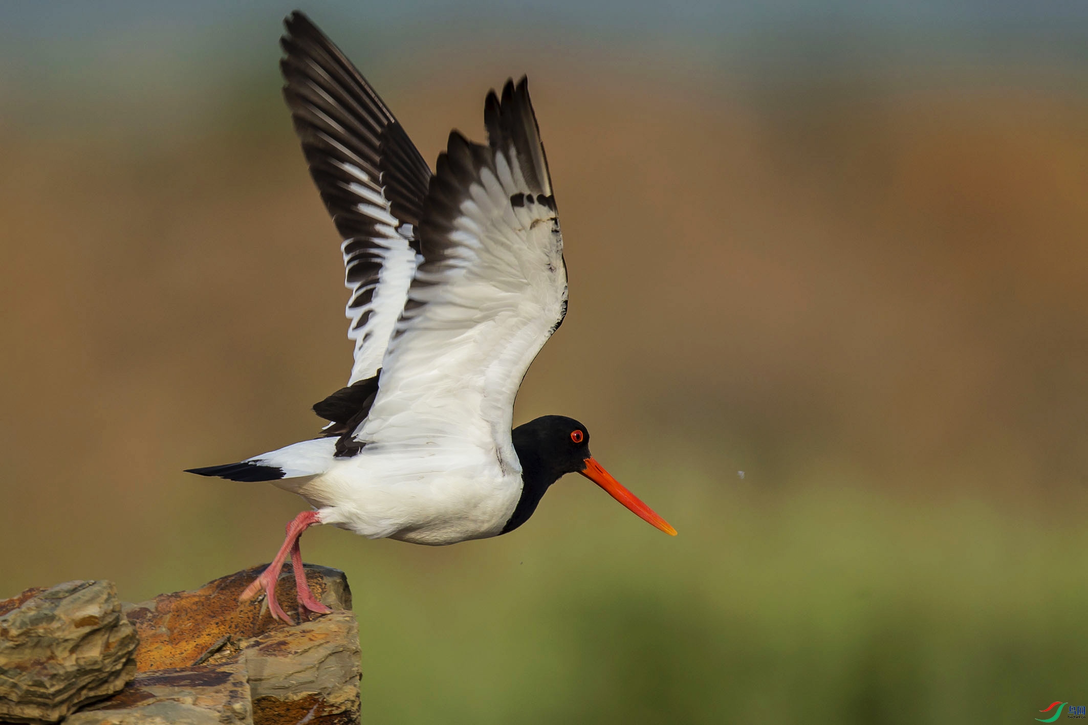 _MG_0120 ����.jpg