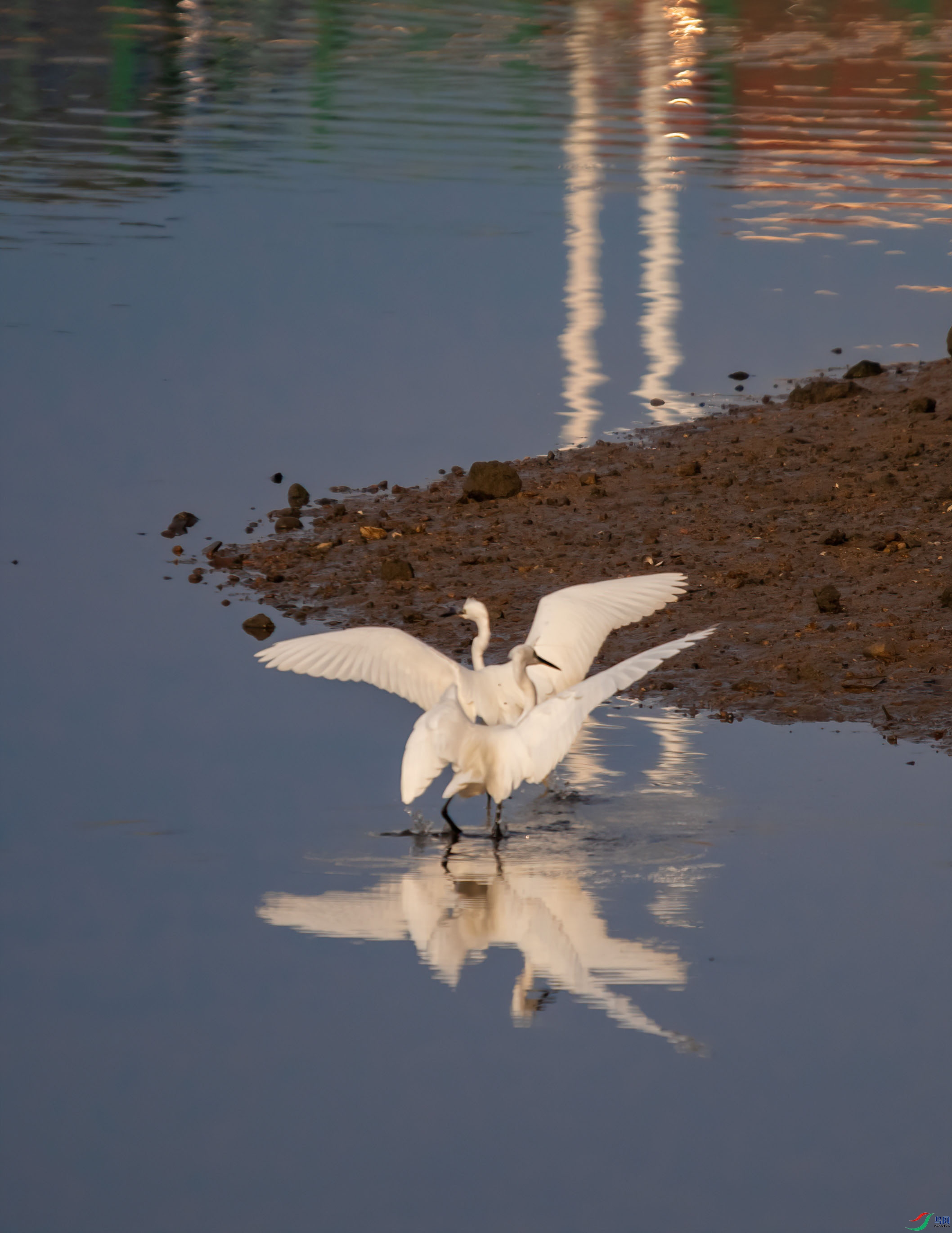 DSC_8764-s.jpg