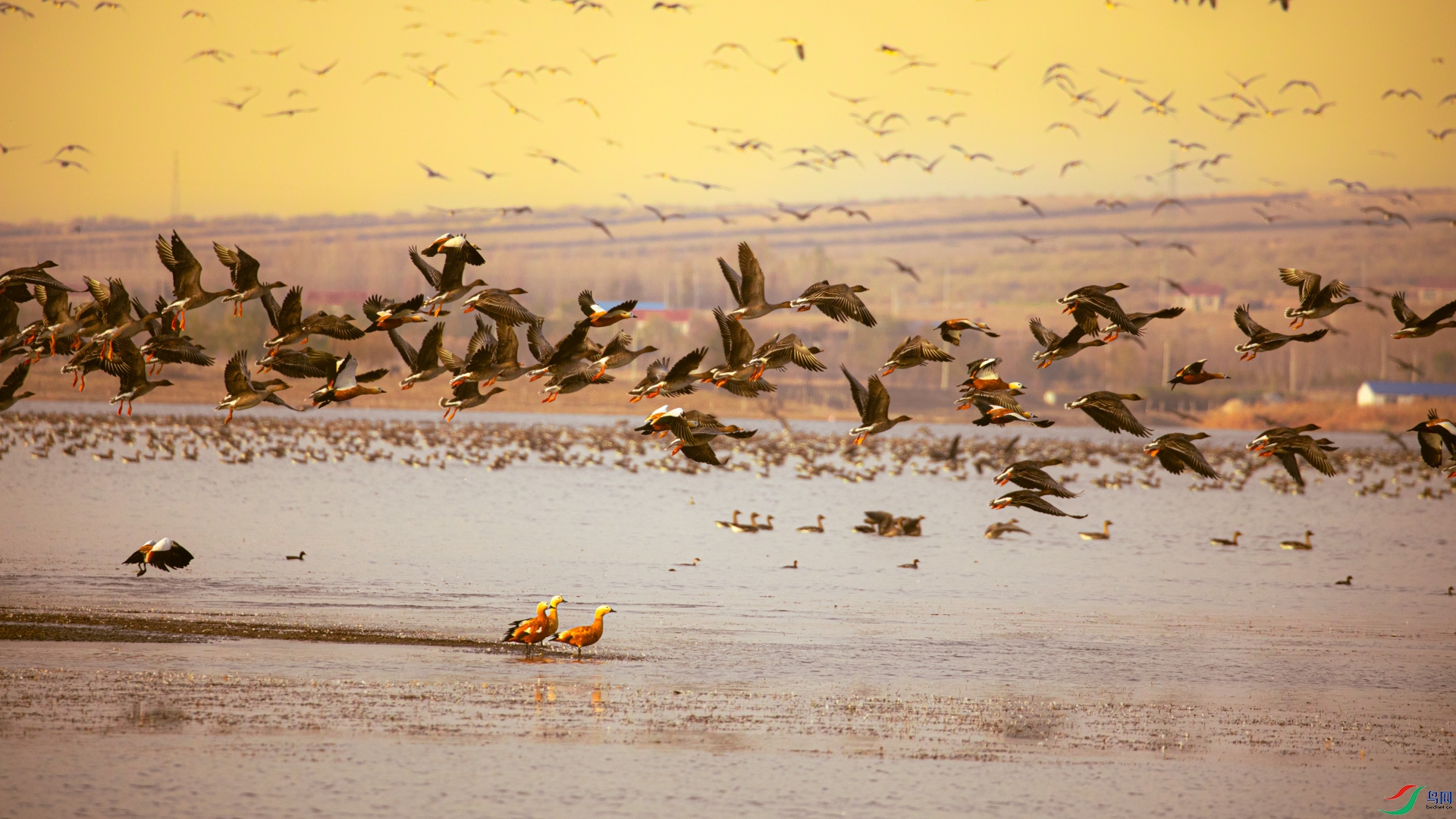 ����������㻶�� �ɹŰ����̲�Ʈ�㣨����