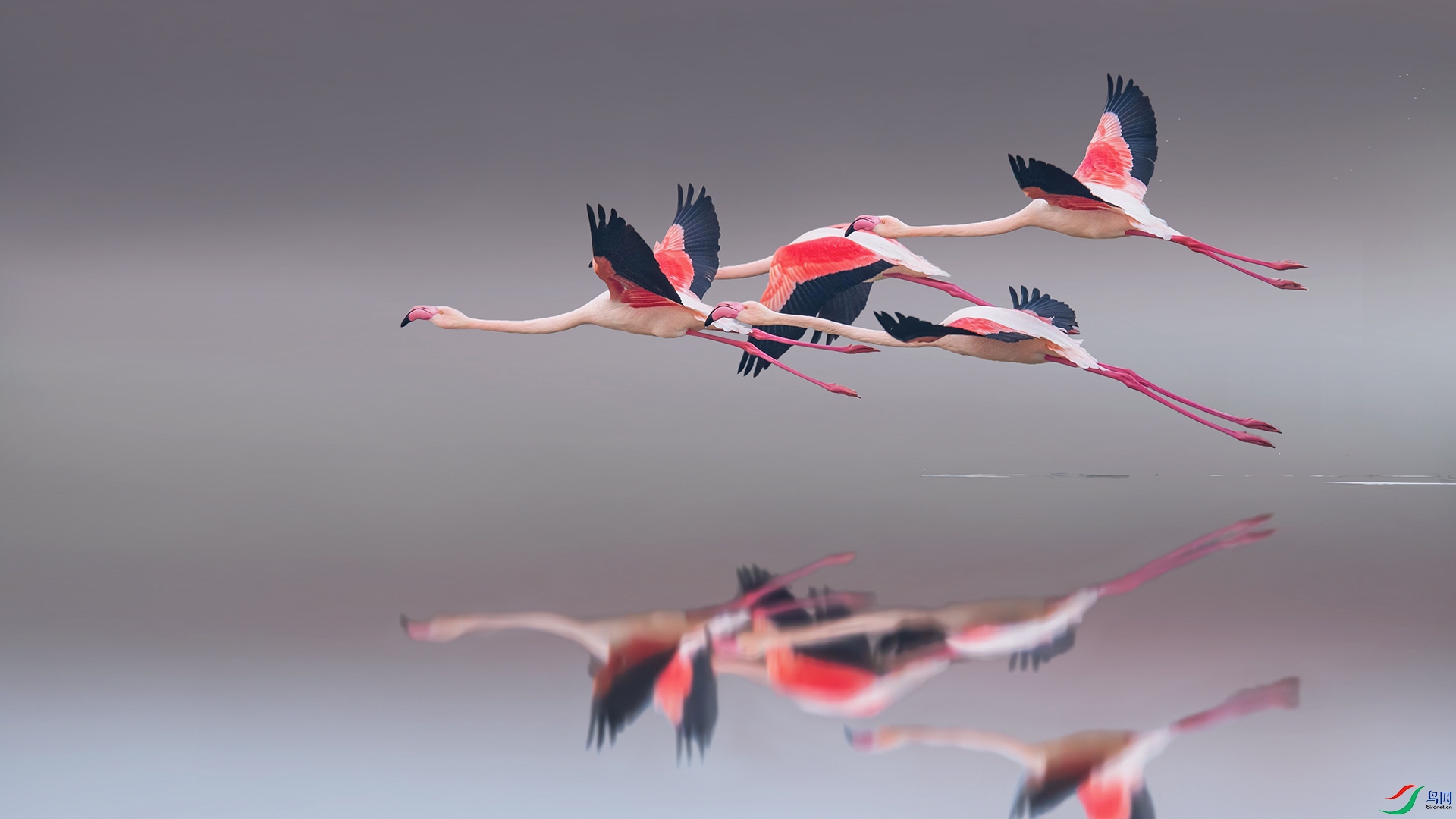 �½��ļ��л����� (1).jpg1.jpg