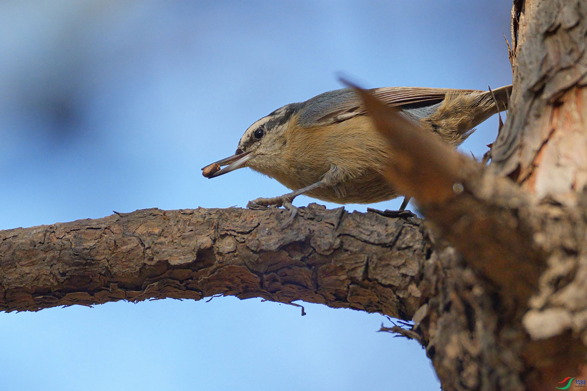 DSC02264 ����-DeNoiseAI-standard ����.jpg