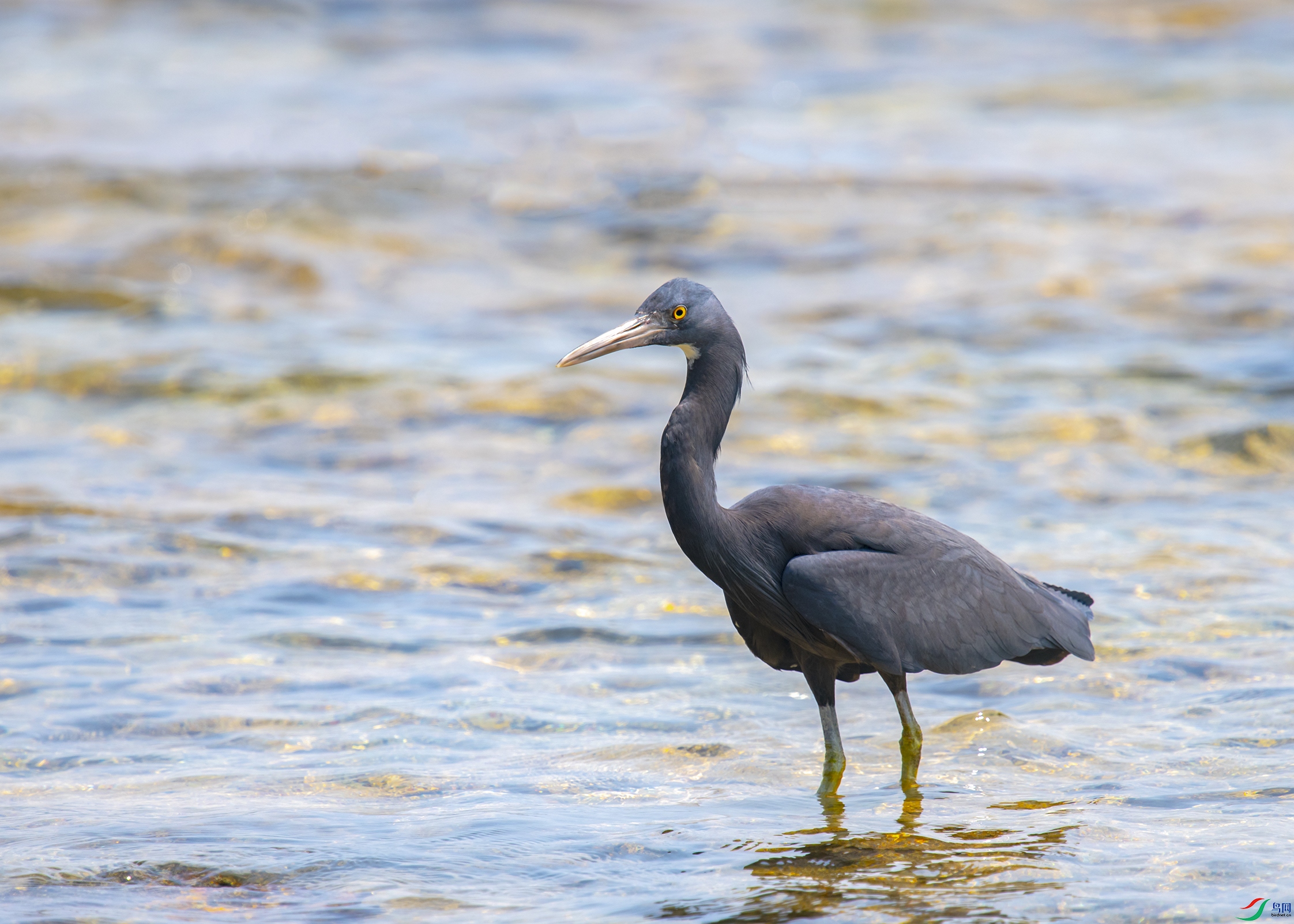 1870 ����.jpg