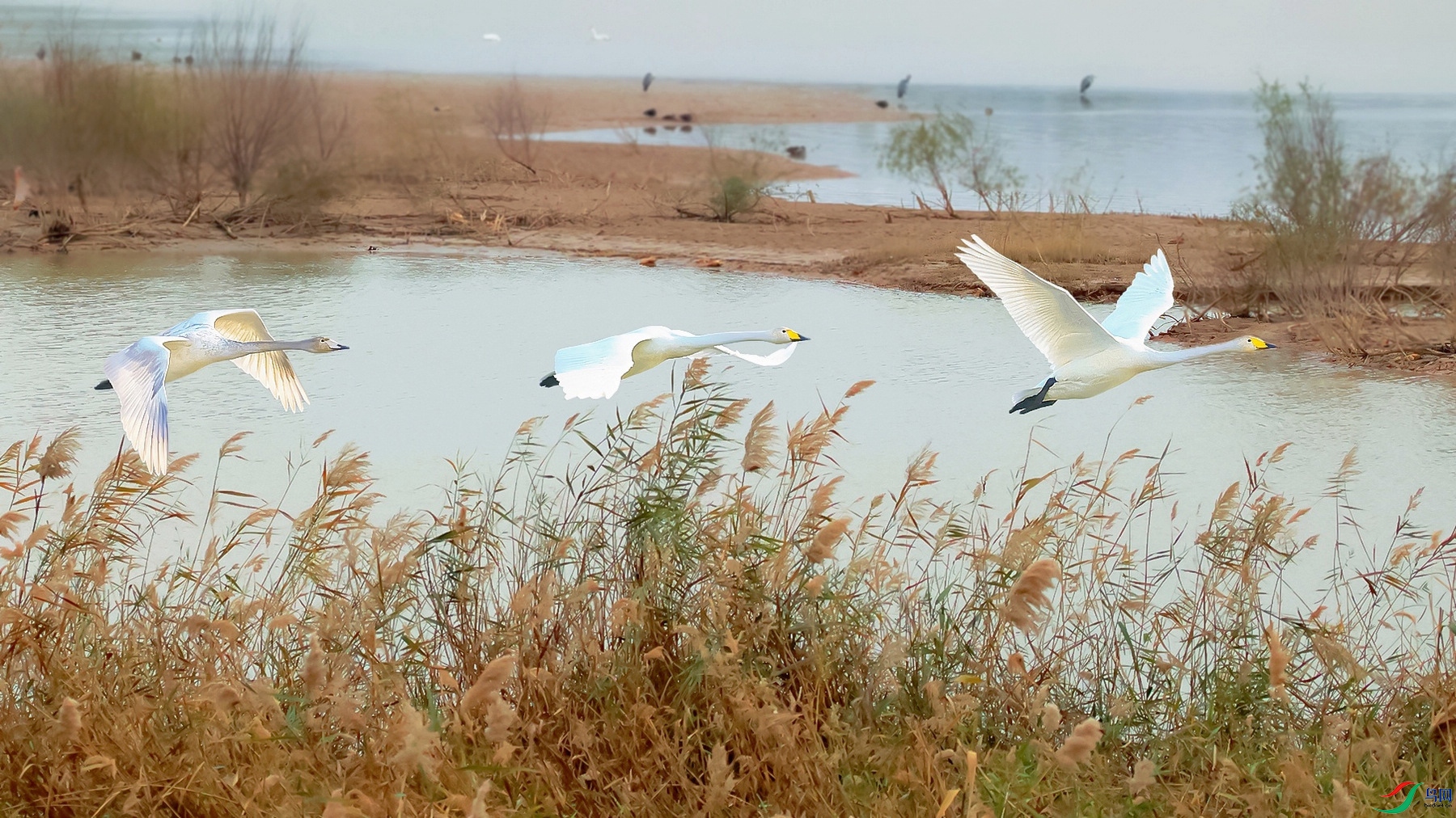 193A7455-topaz-sharpen ����-topaz-sharpen.jpg