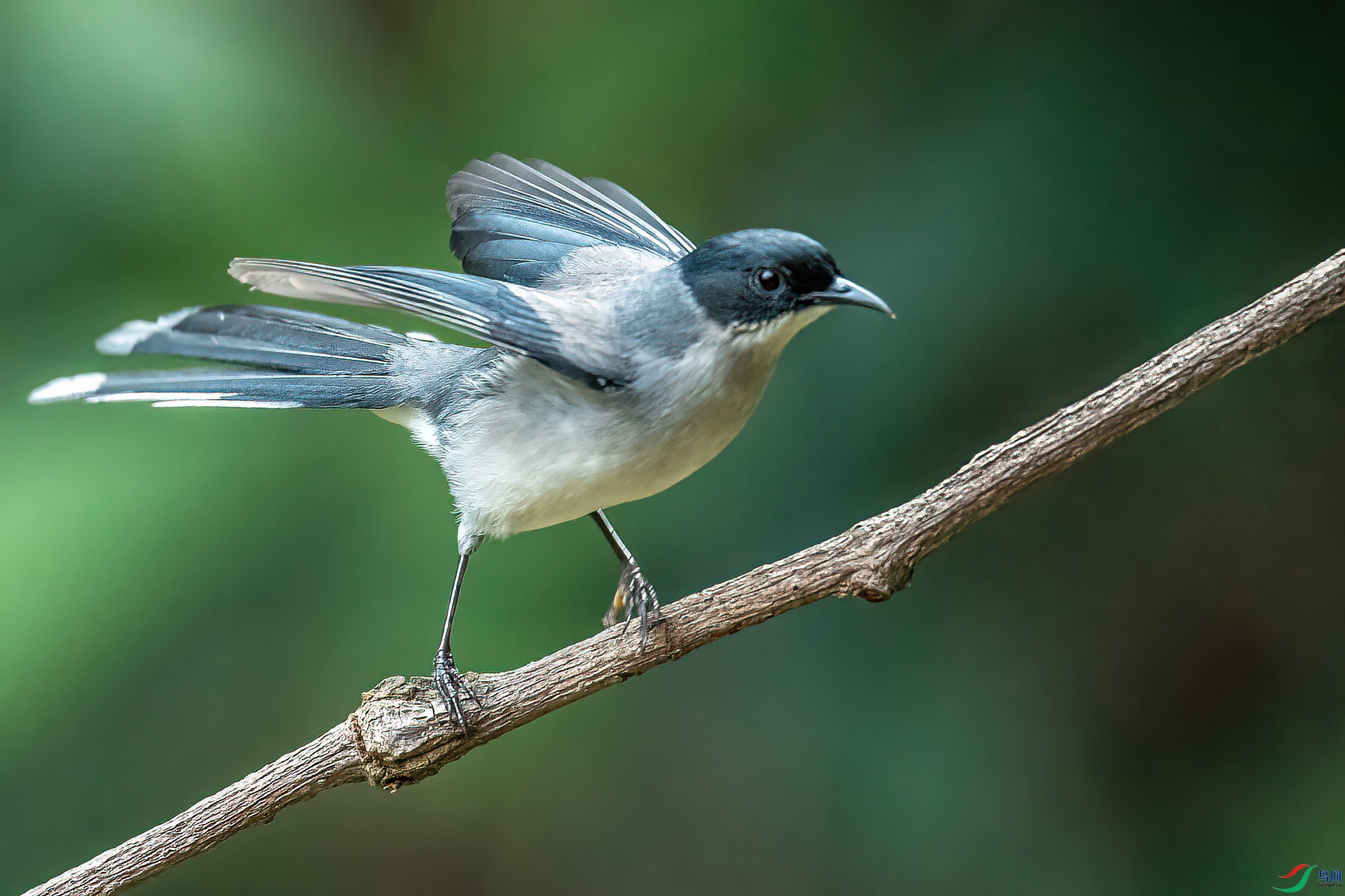 DSC_7776.jpg