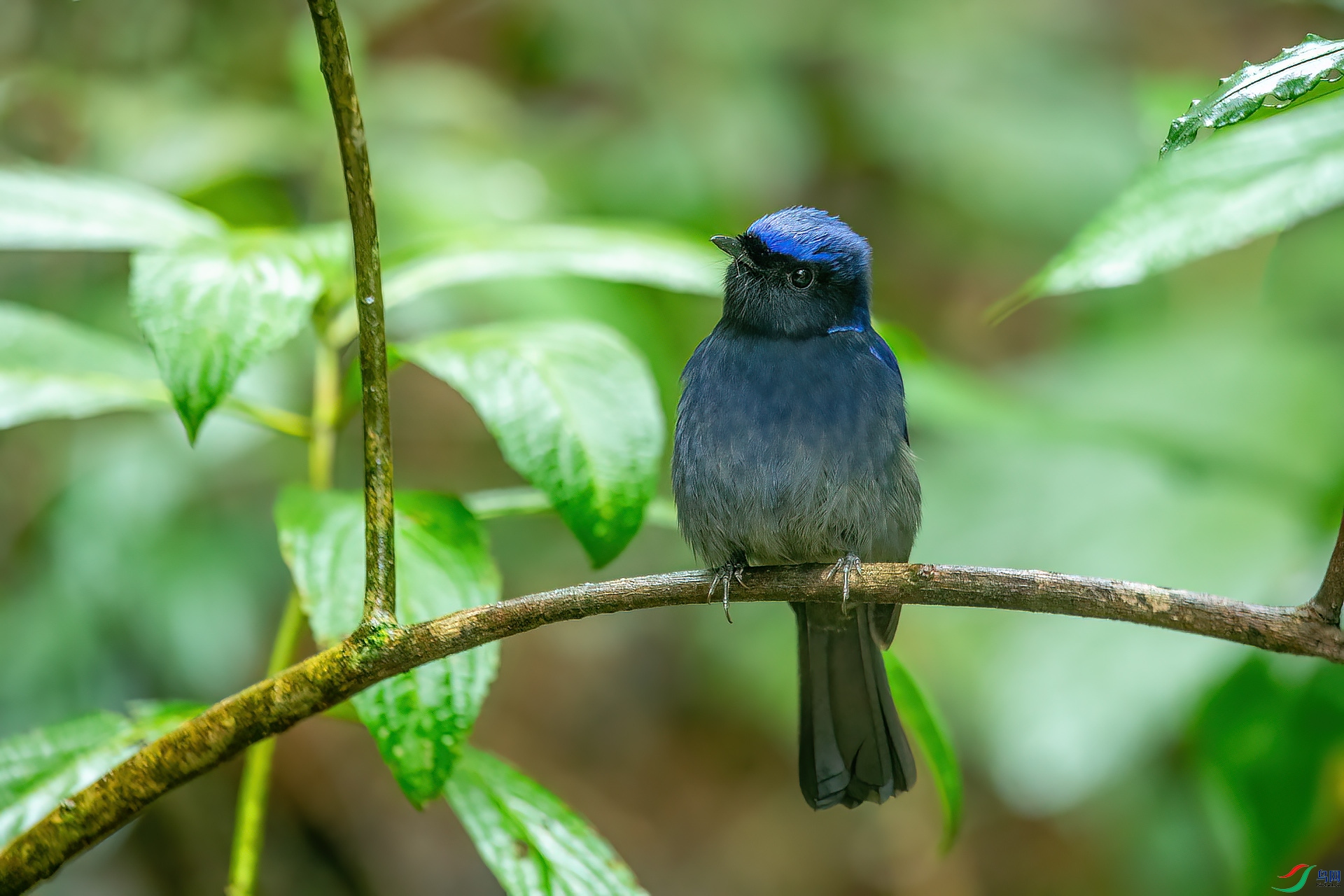 DSC_0110.jpg
