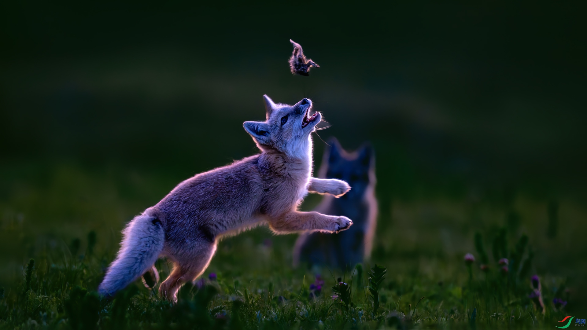 _DSC8590-ĺɫ�е���ˣ.jpg