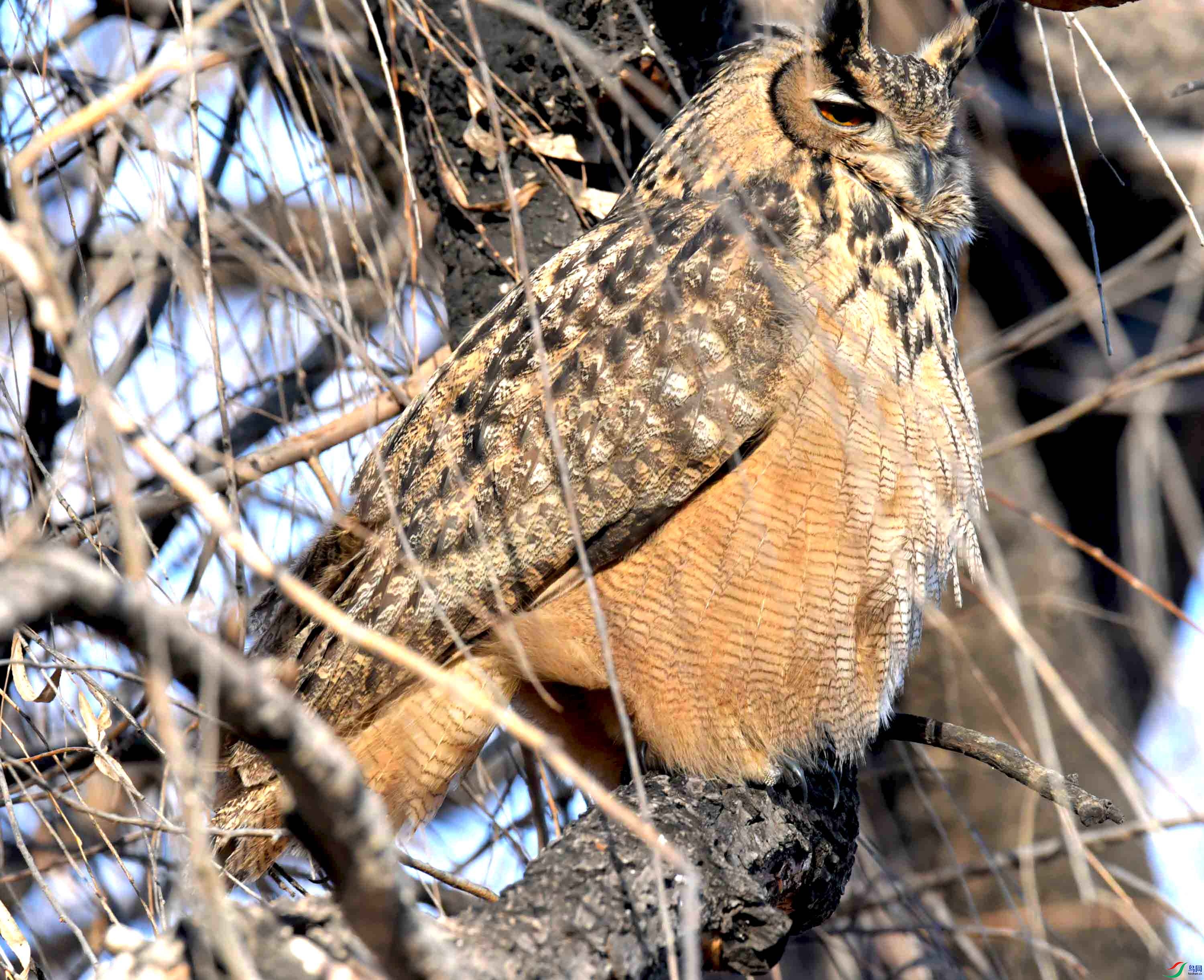 DSC_6334.JPG