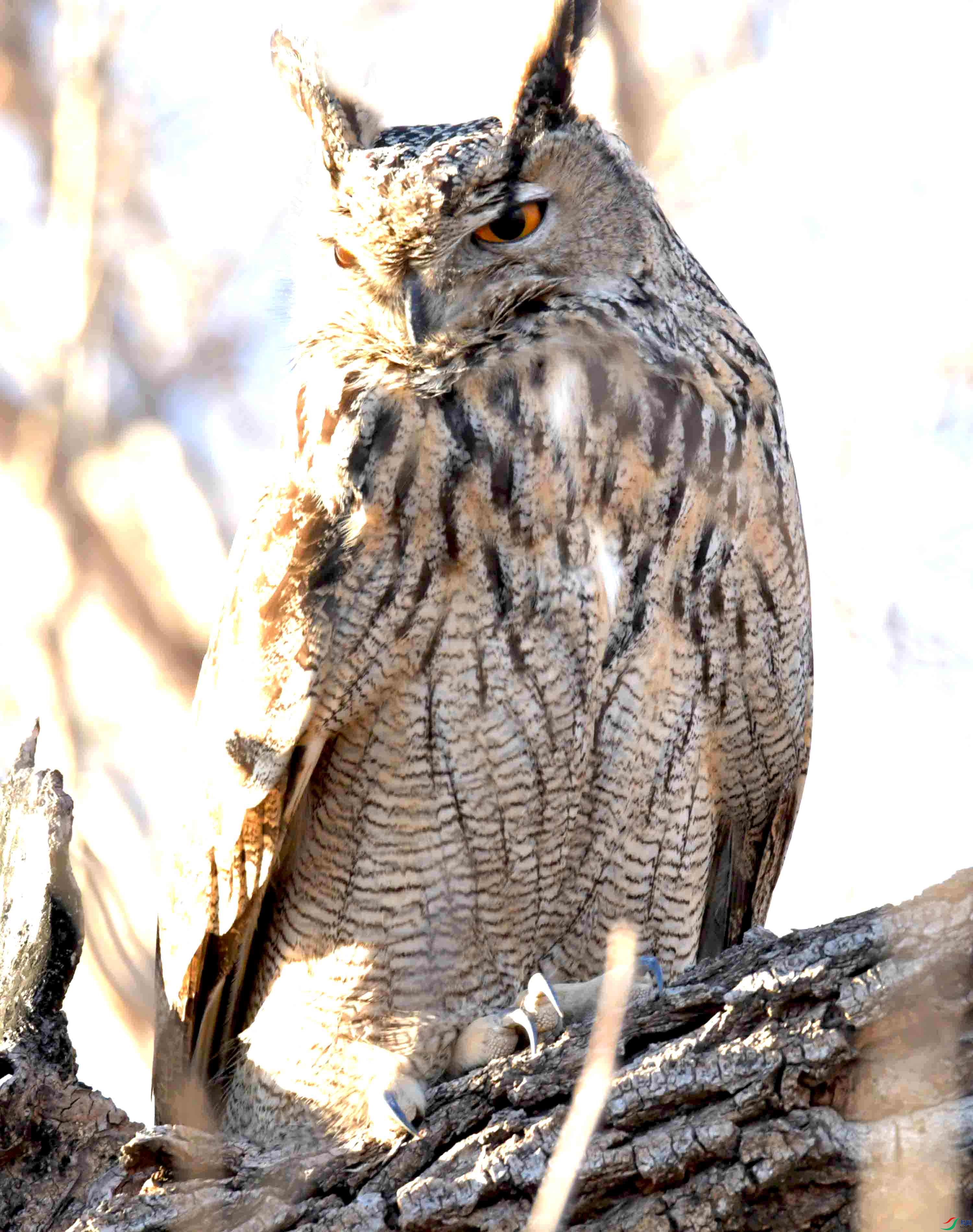 DSC_8347.JPG
