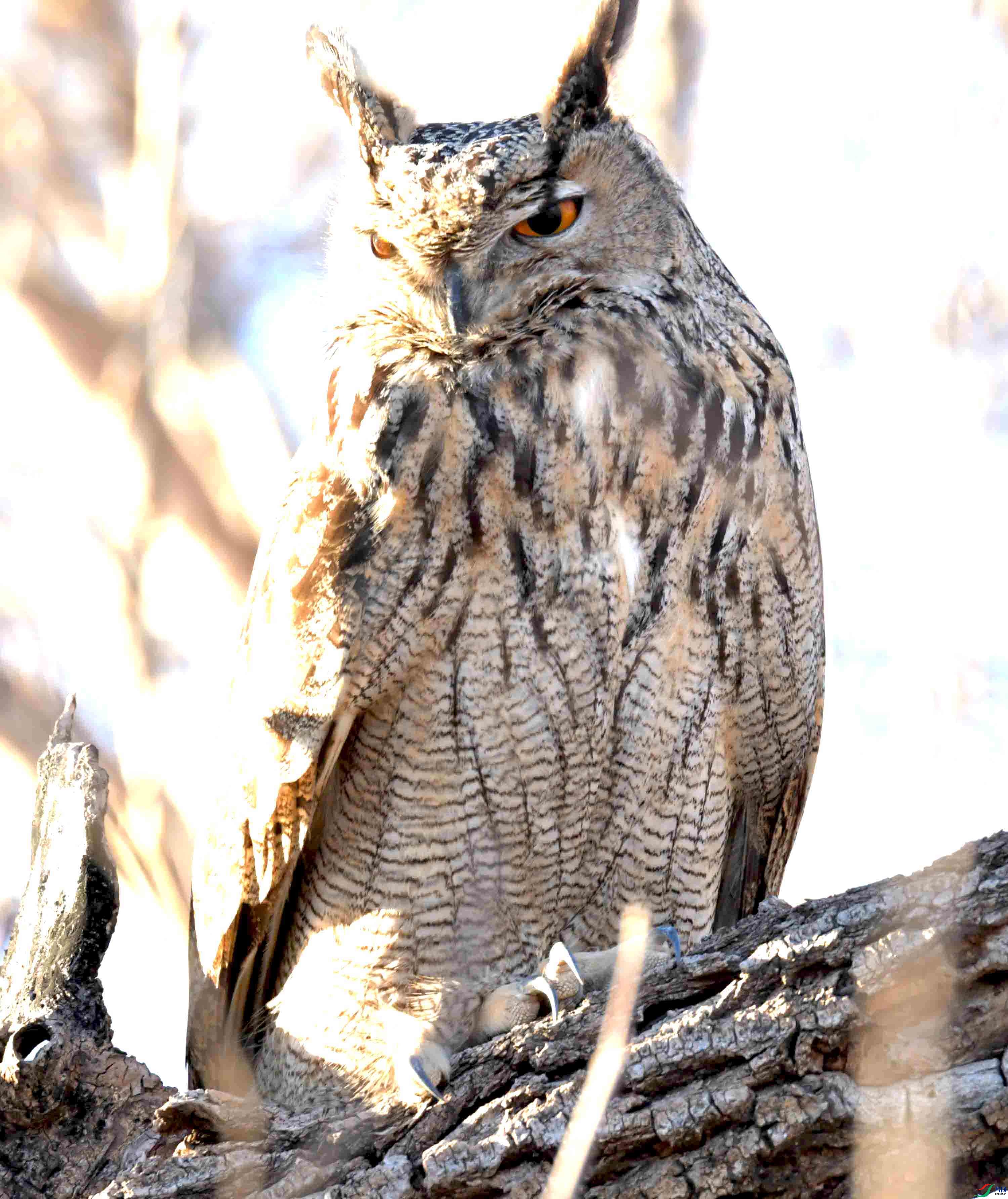 DSC_8348.JPG