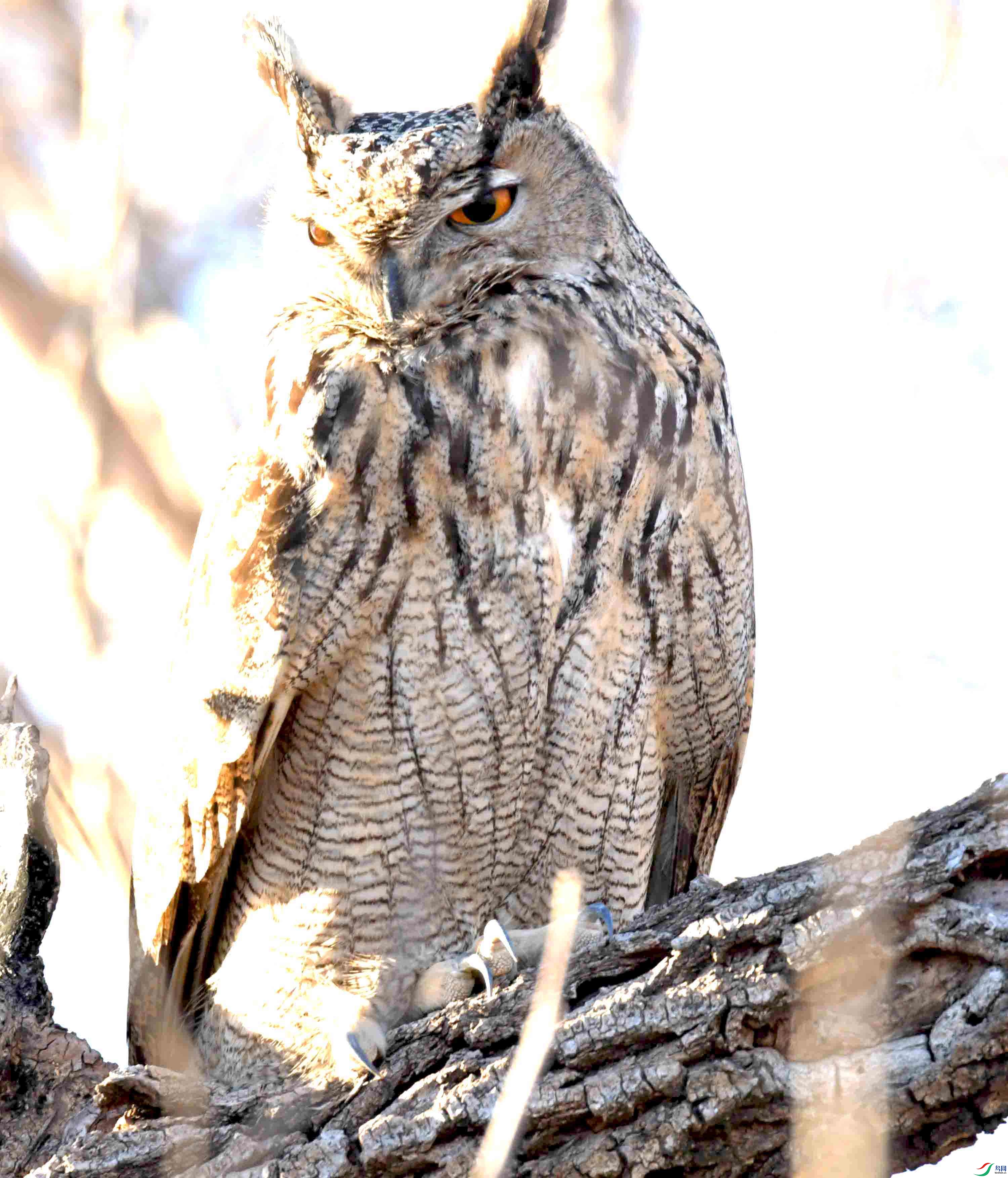 DSC_8349.JPG