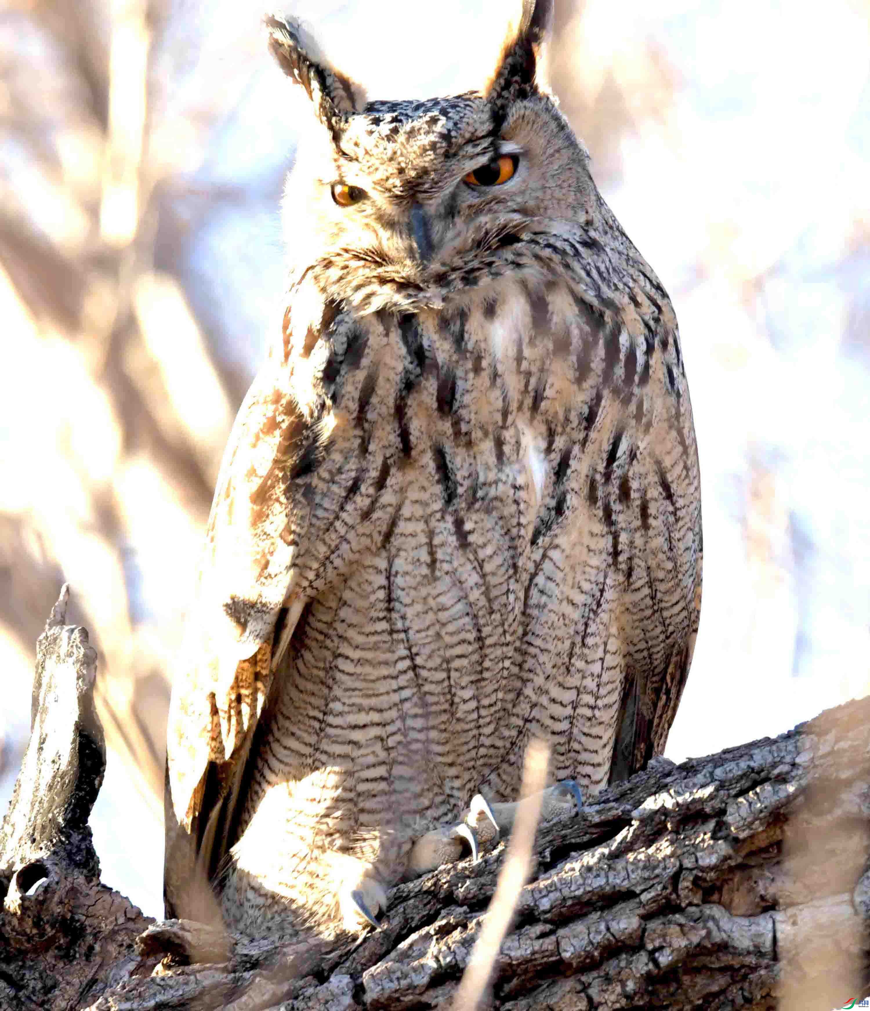 DSC_8351.JPG