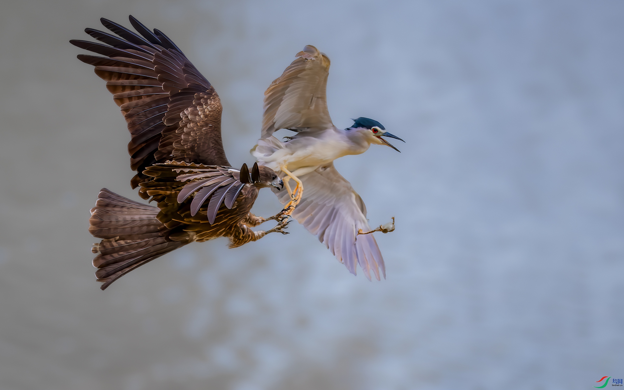 DSC_1419-����ǿ-NR-1 ����.jpg
