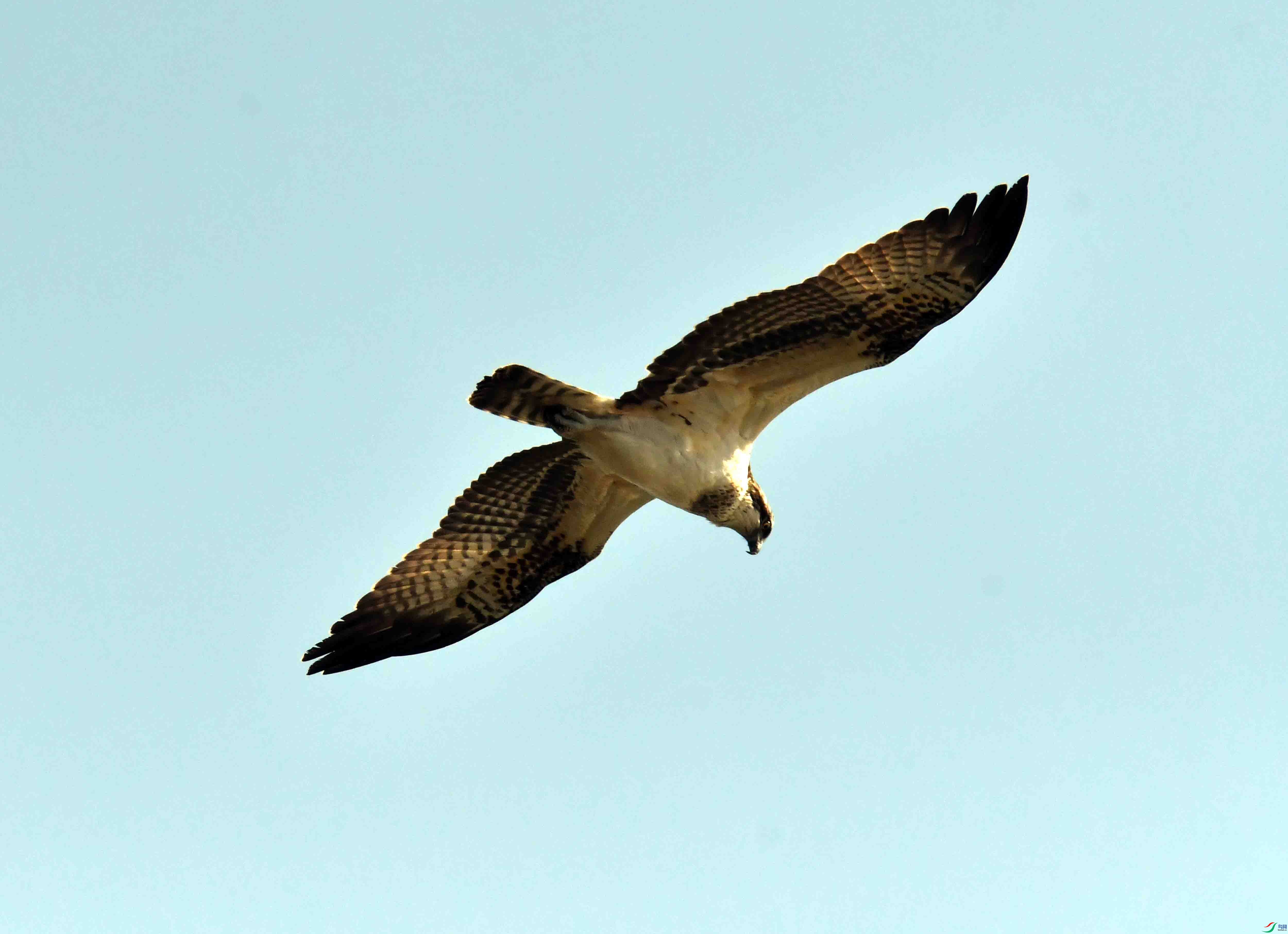 DSC_5172.JPG