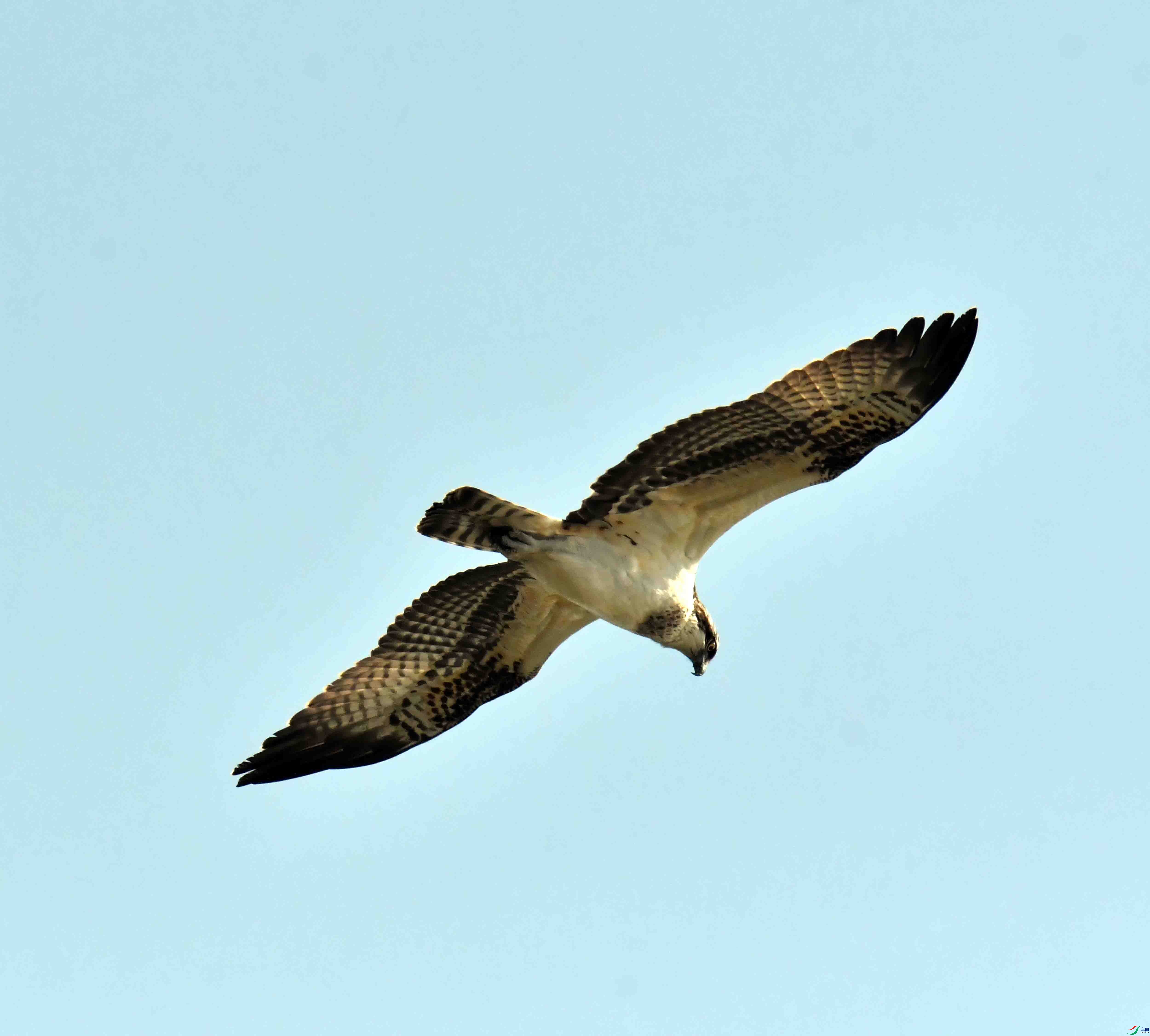 DSC_5173.JPG