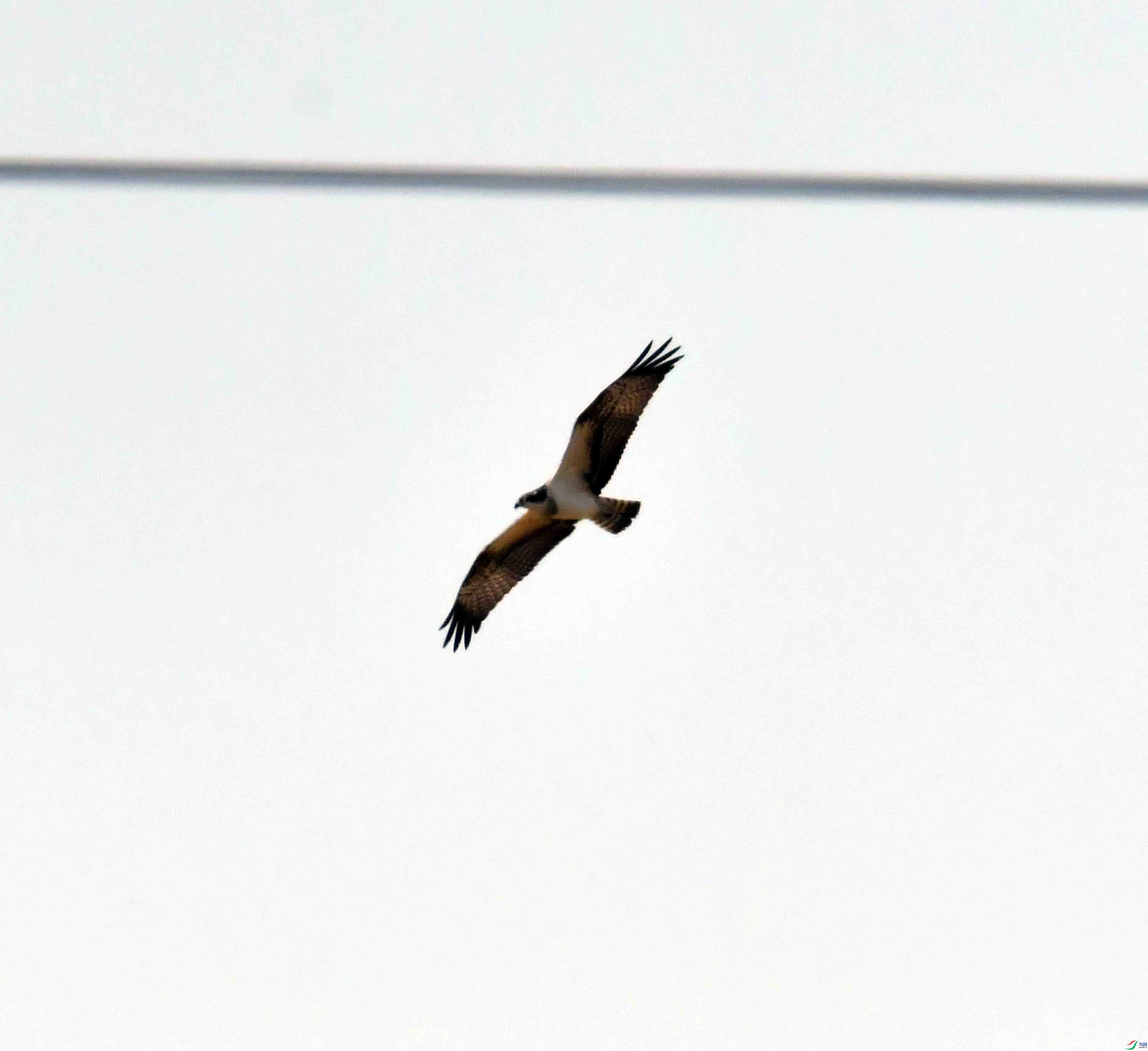 DSC_5318.JPG