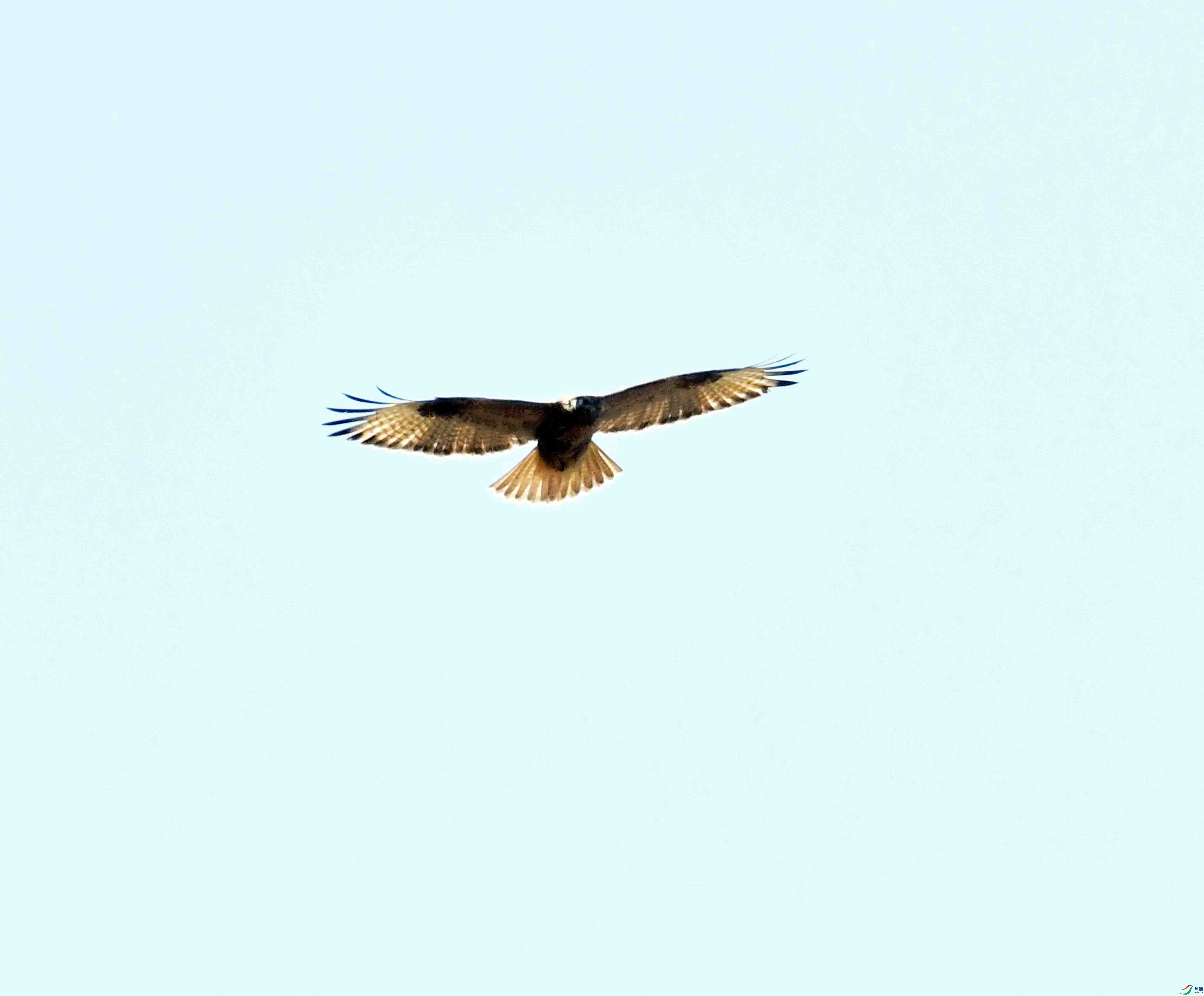 DSC_0137.JPG