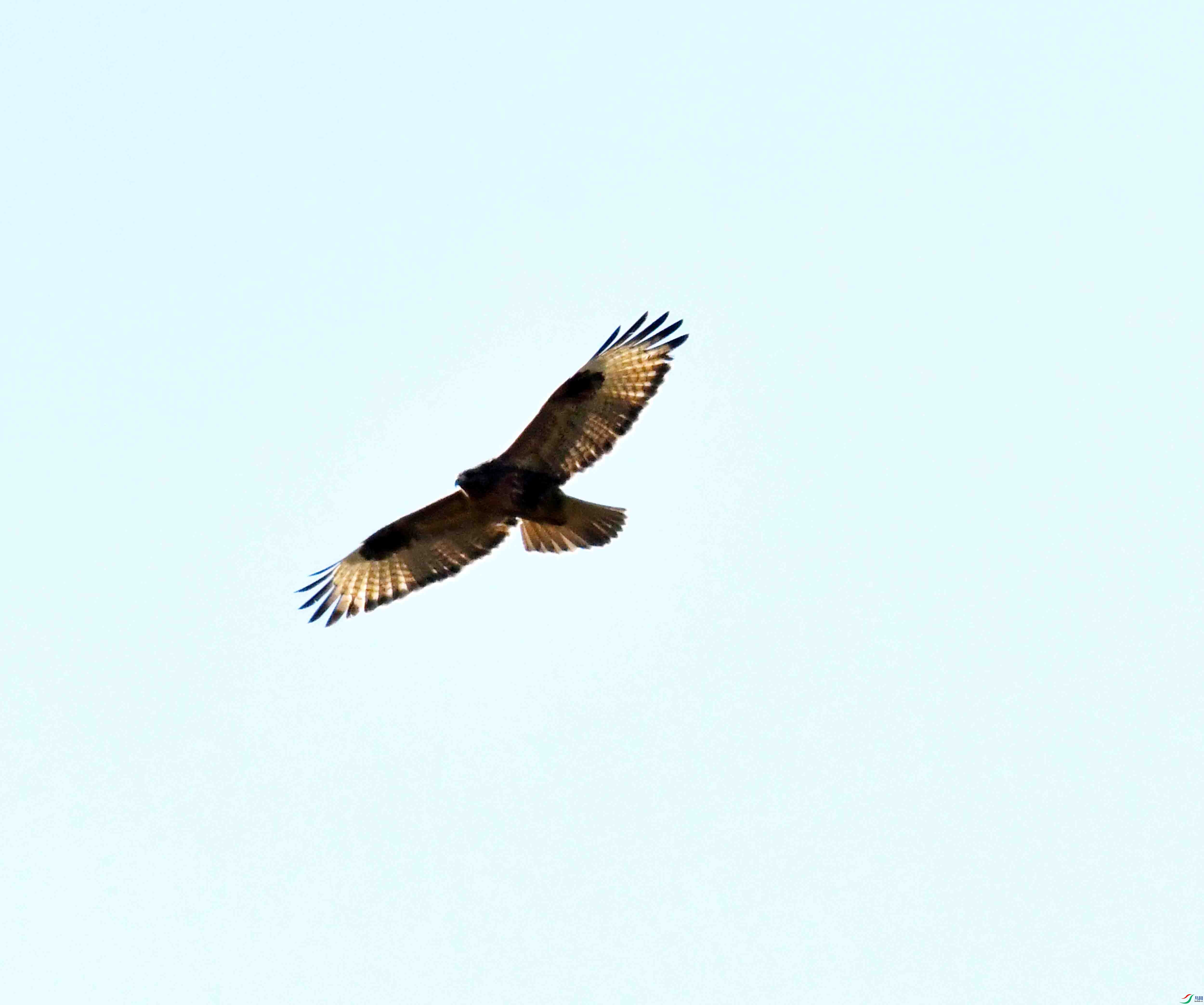 DSC_0140.JPG